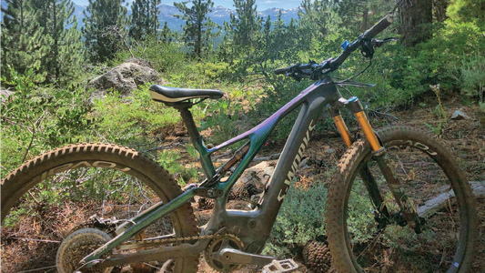 Specialized Turbo Levo