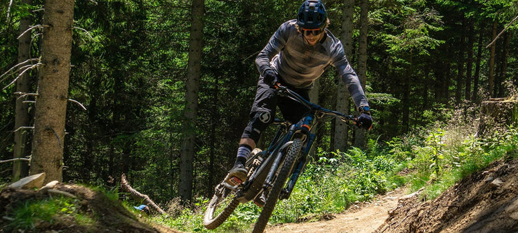 Electric Mountain Bikes