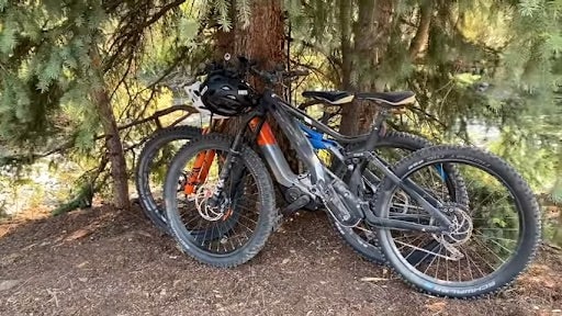 About the bikes bikes on tree on fly rides