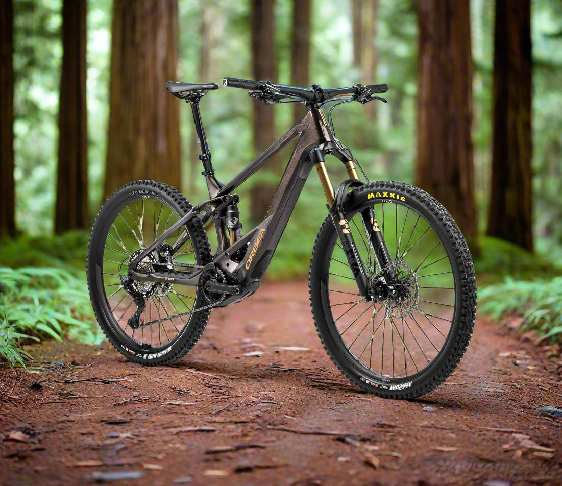 Orbea Wild M-TEAM