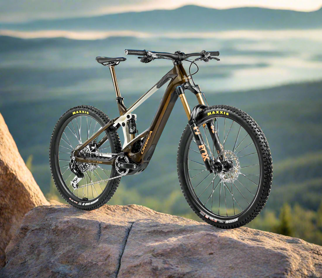 2025 Orbea Wild M LTD