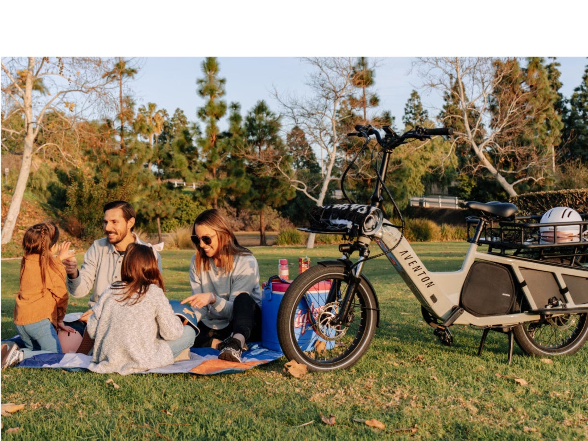 Aventon Abound Compact folding cargo eBike Sage Family picinic with optional accessories shown