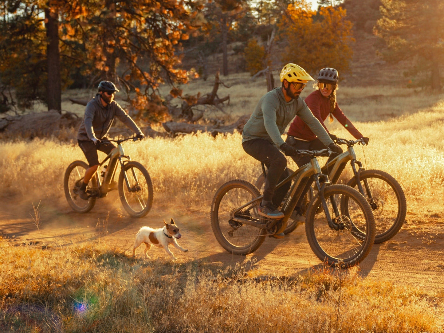 Aventon Rmablas Hardatil eMTB Group ride on a sunshine lit trail with a cute dog running along.