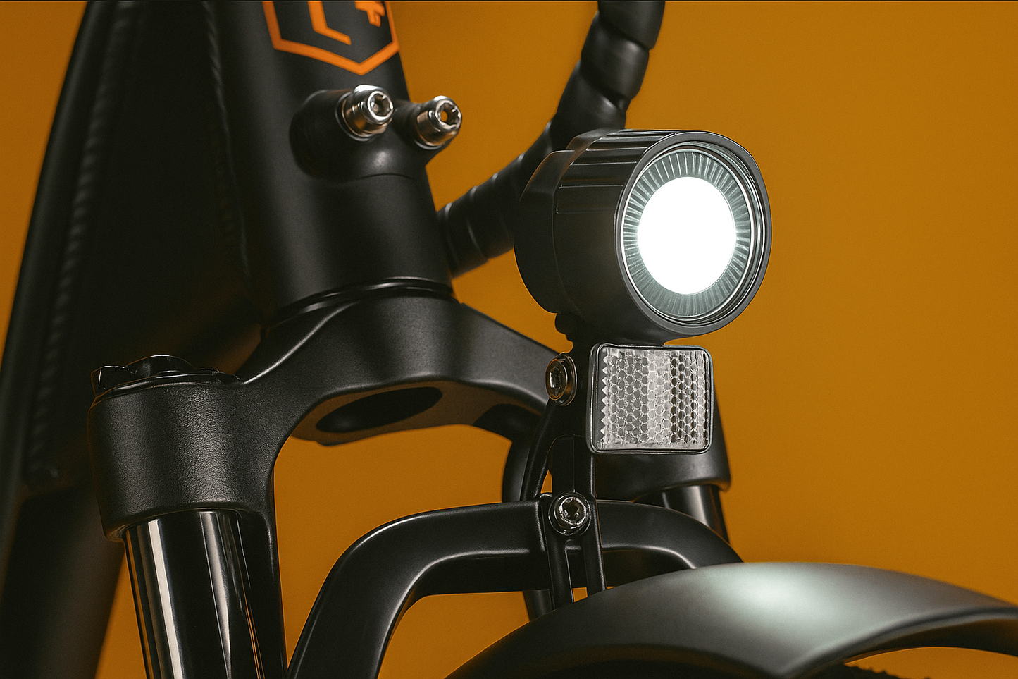 Rad Power RadRunner™ Plus Electric Cargo Utility Bike