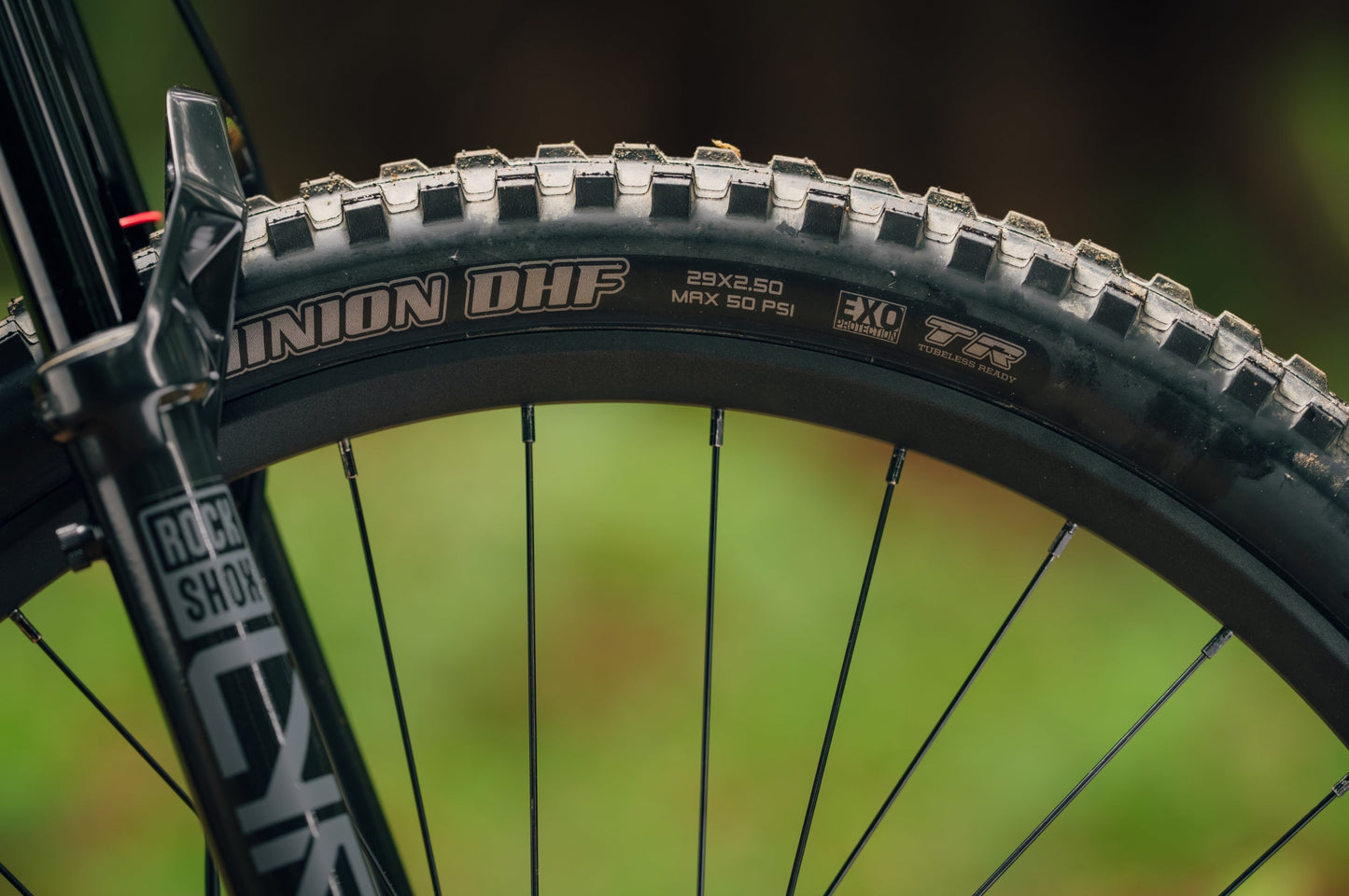 Aventon Current ADV 29-inch tubeless-ready wheels detail