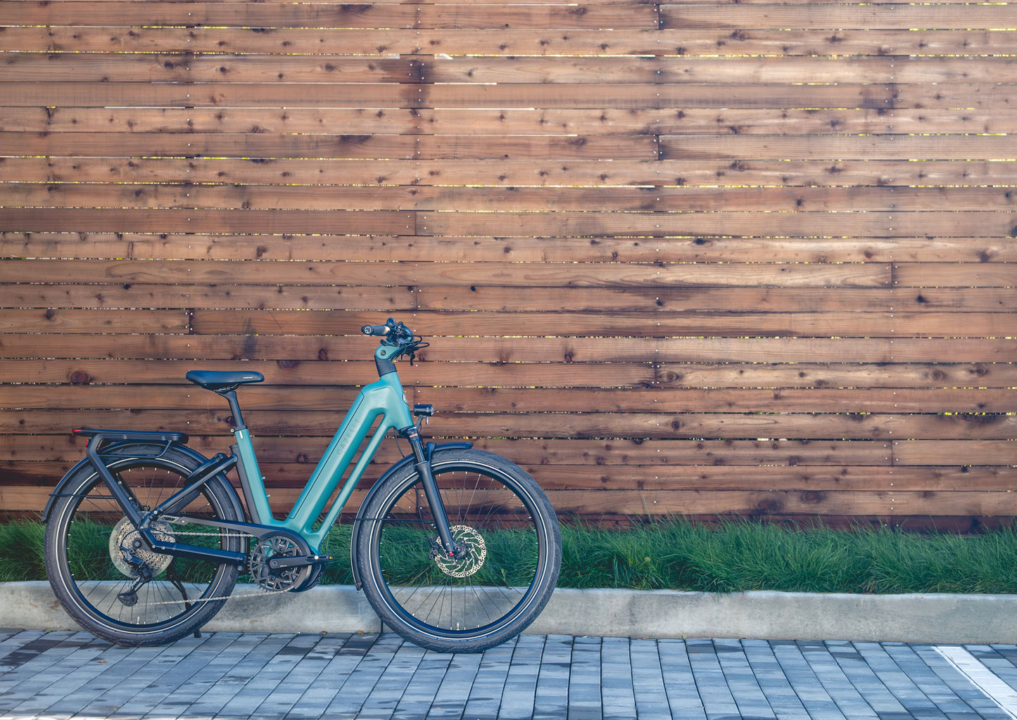 Gazelle Eclipse T11+ Low step Thyme green Lifestyle Brick road Wood wall backdrop