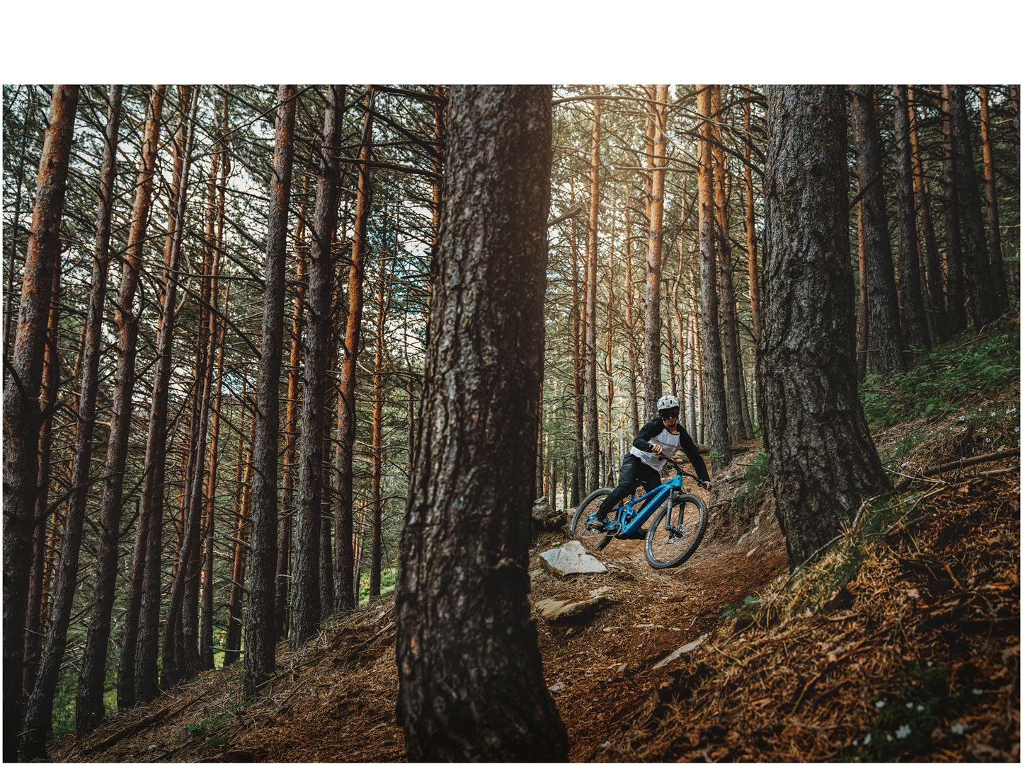 Mondraker Sly R Marlin blue eMTB Lifestyle Rider on dirt packed tree lined trail