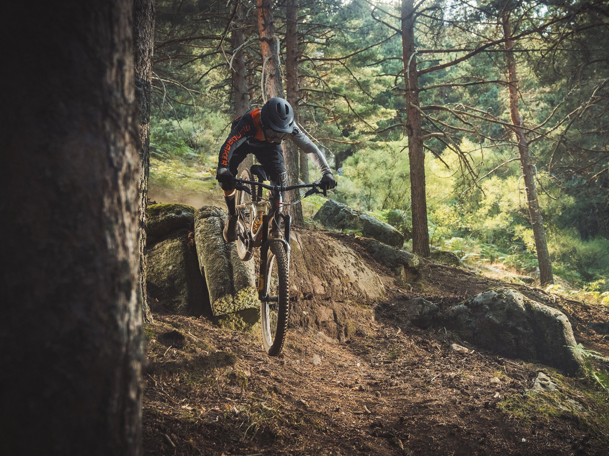 Mondraker Superfoxy Carbon R Full Suspension Enduro Mountain bike Downhill rider on dirt forest terrain