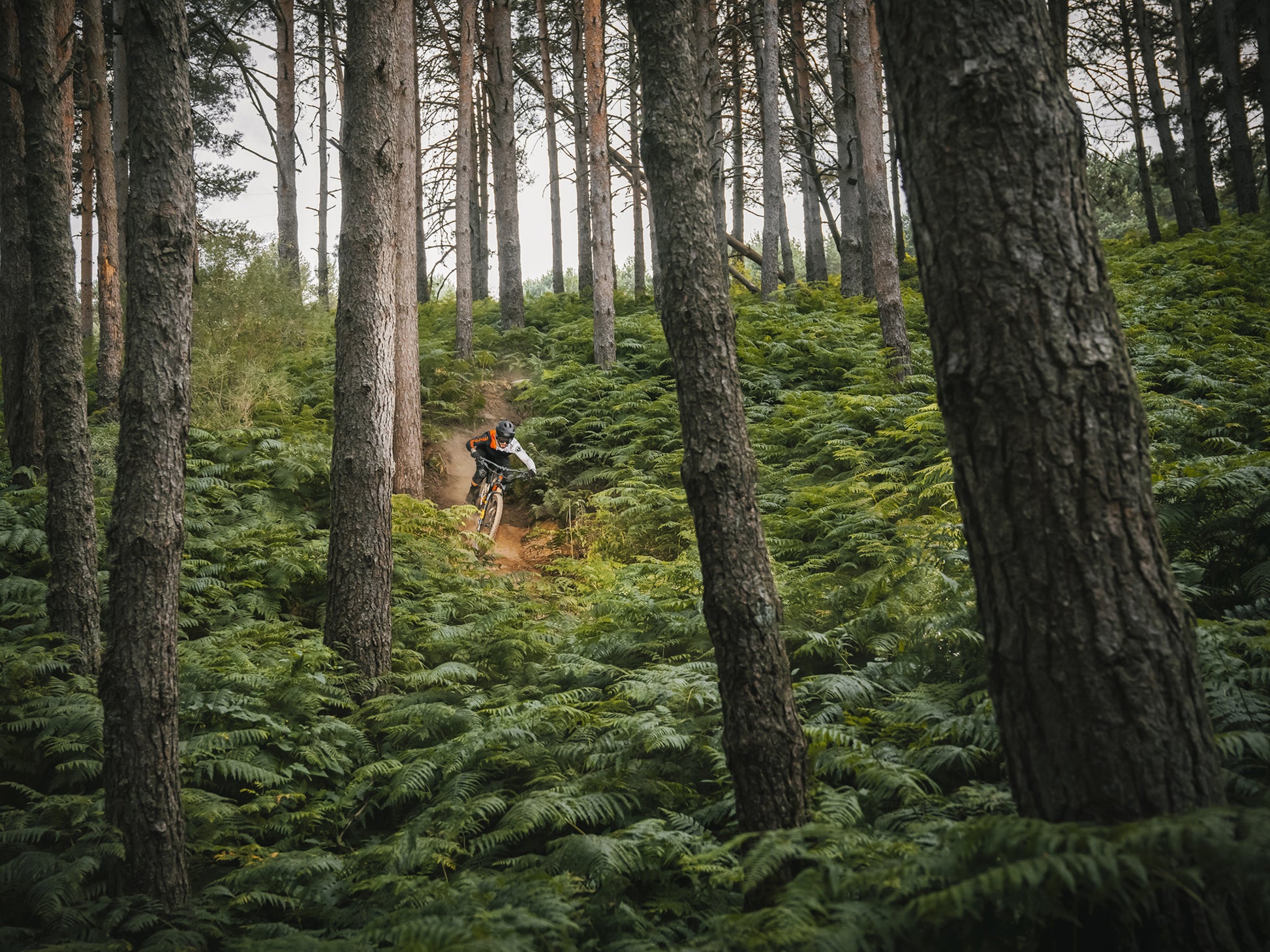 Mondraker Superfoxy R Full Suspension Enduro Mountain bike British racing green Downhill Rider on fern covered trail in a forest setting