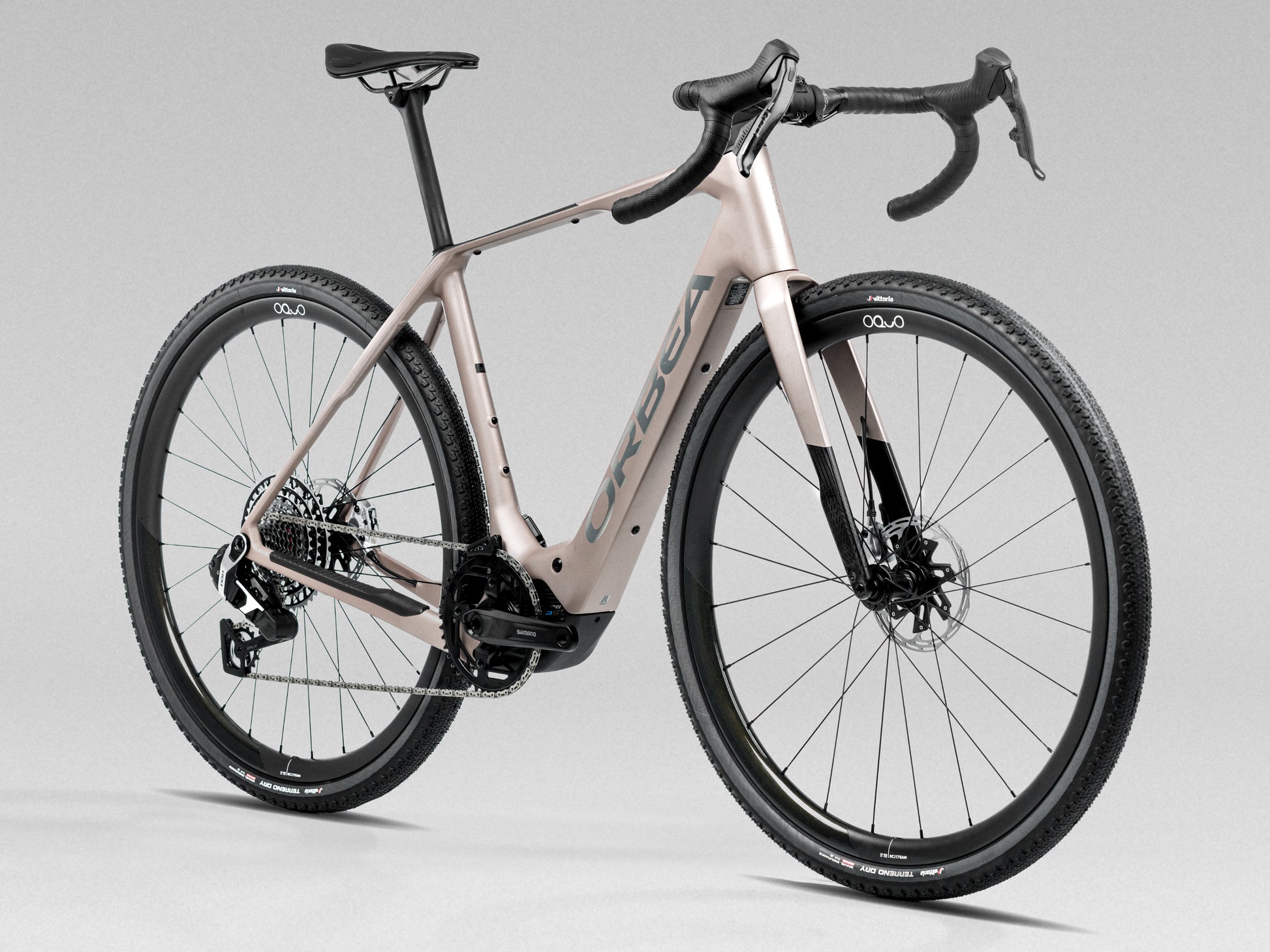 Orbea Denna Gravel Road / commuter eBike Nickel matte / carbon raw gloss Forward facing view