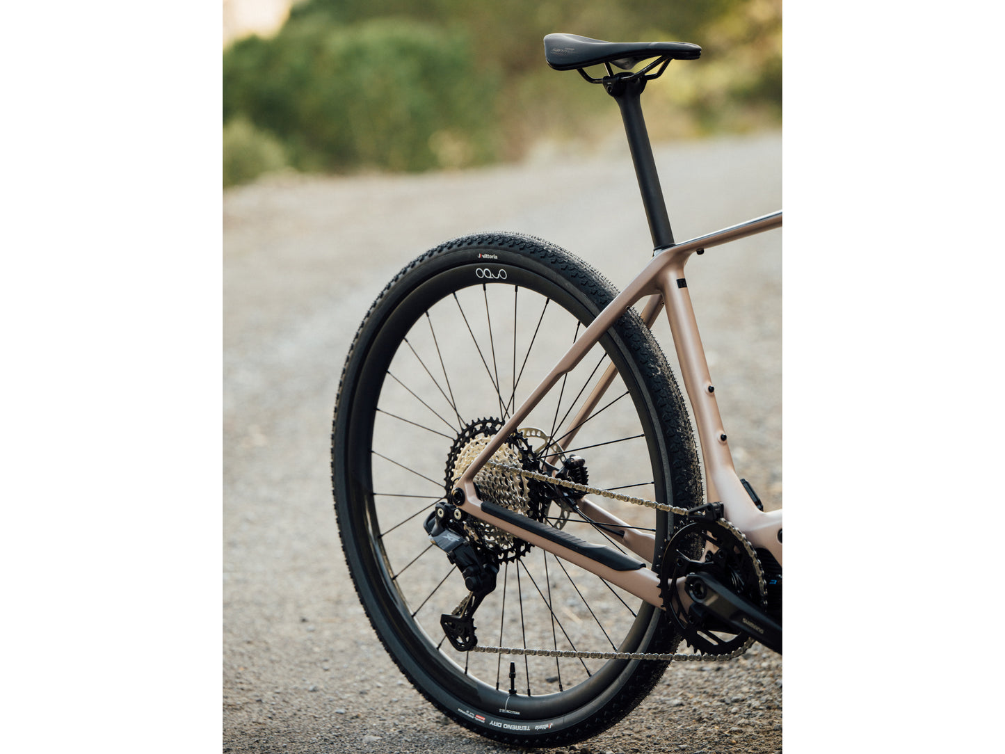 Orbea Denna M20i Gravel Road / commuter Electric bike Nickel matte / carbon raw gloss Rear view | Wheel, cassette, derailleur, seatpost, chain beauty closeup