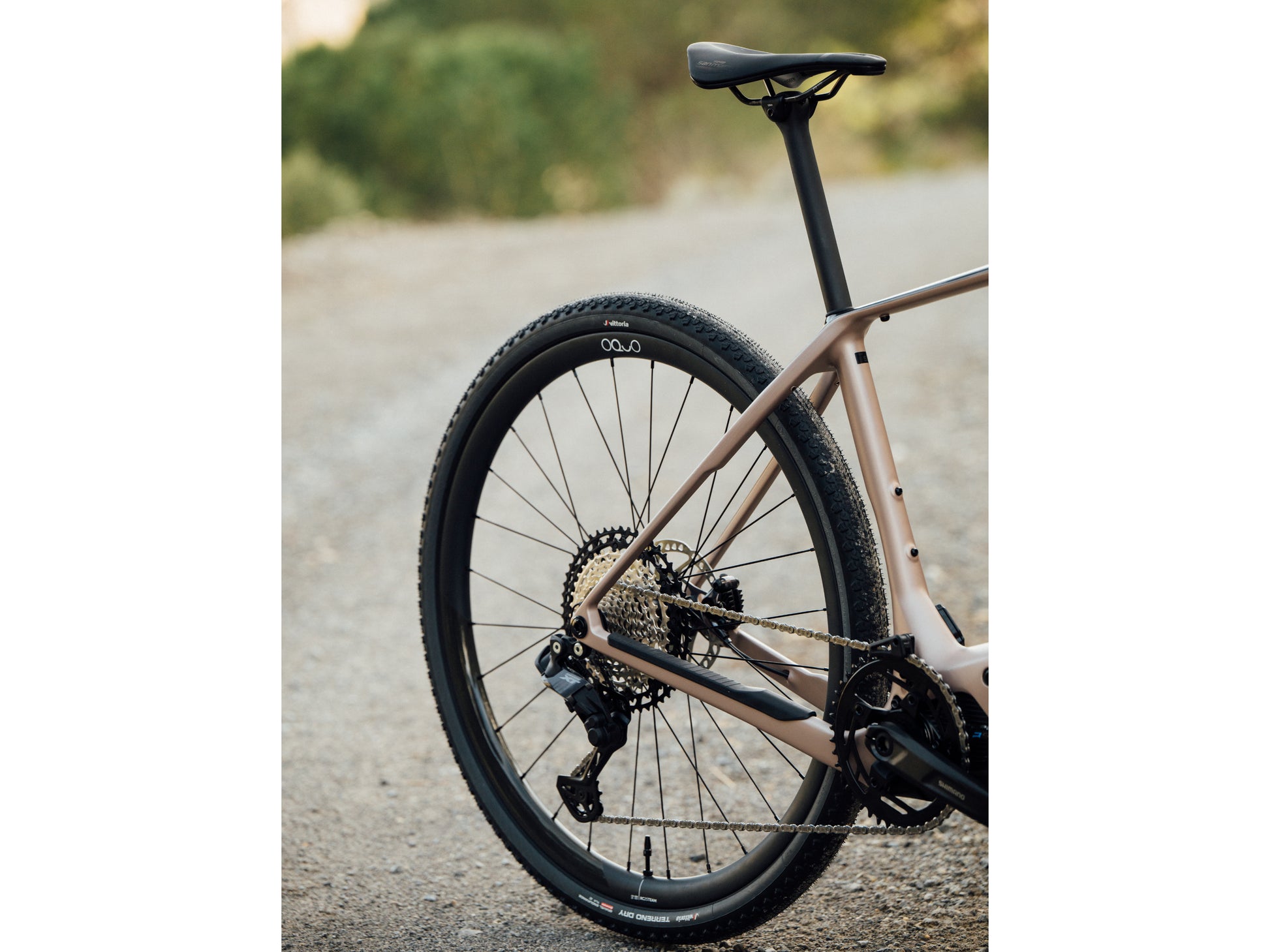 Orbea Denna M20i Gravel Road / commuter Electric bike Nickel matte / carbon raw gloss Rear view | Wheel, cassette, derailleur, seatpost, chain beauty closeup