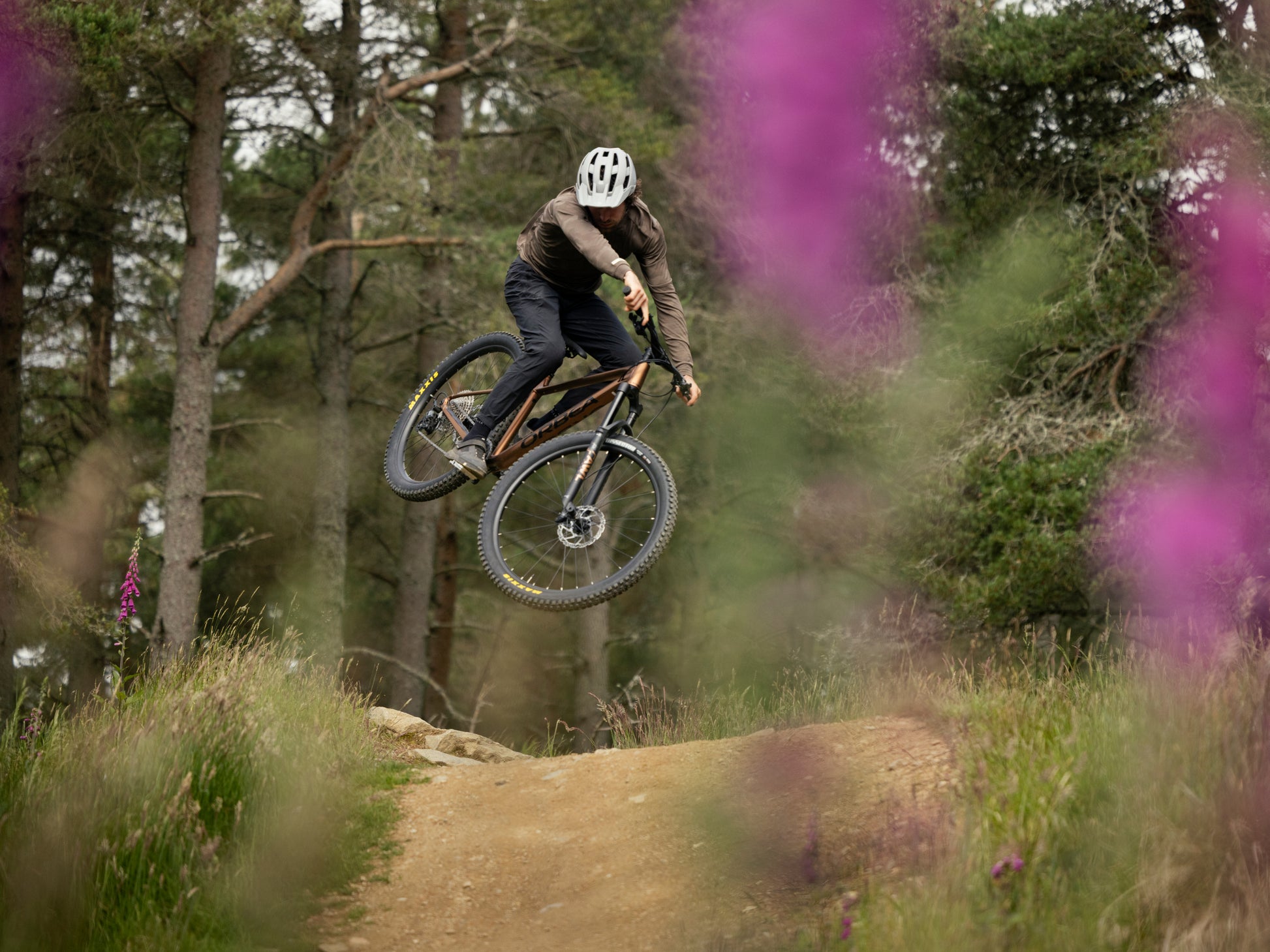 Orbea Laufey Hardtail Mountain bike. Rider getting air on dirt track in forest setting with purple flowers in background