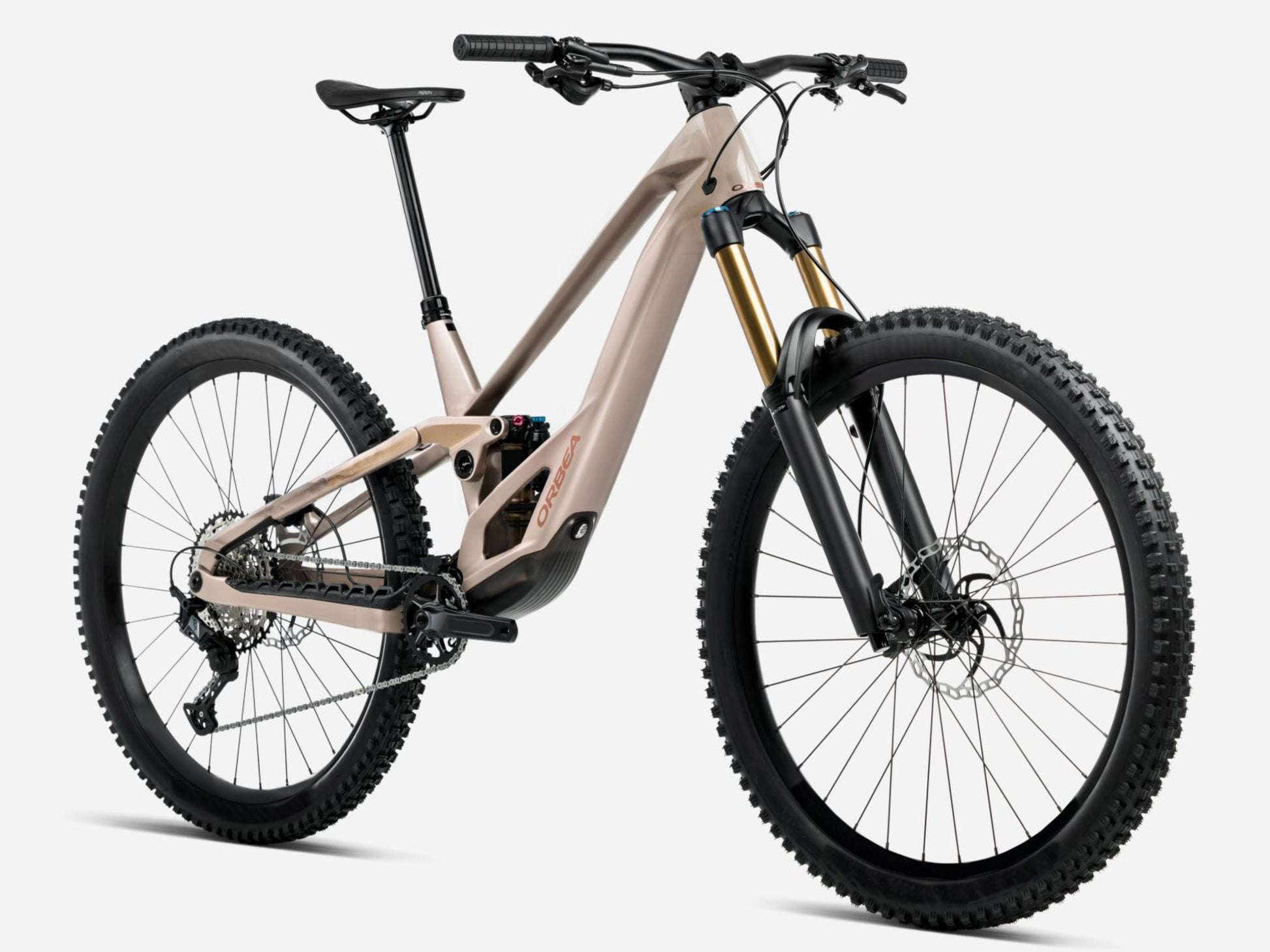 Orbea Rallon E10 Full Suspension mountain bike Enduro Nickel matte / nickel chrome gloss Forward facing view