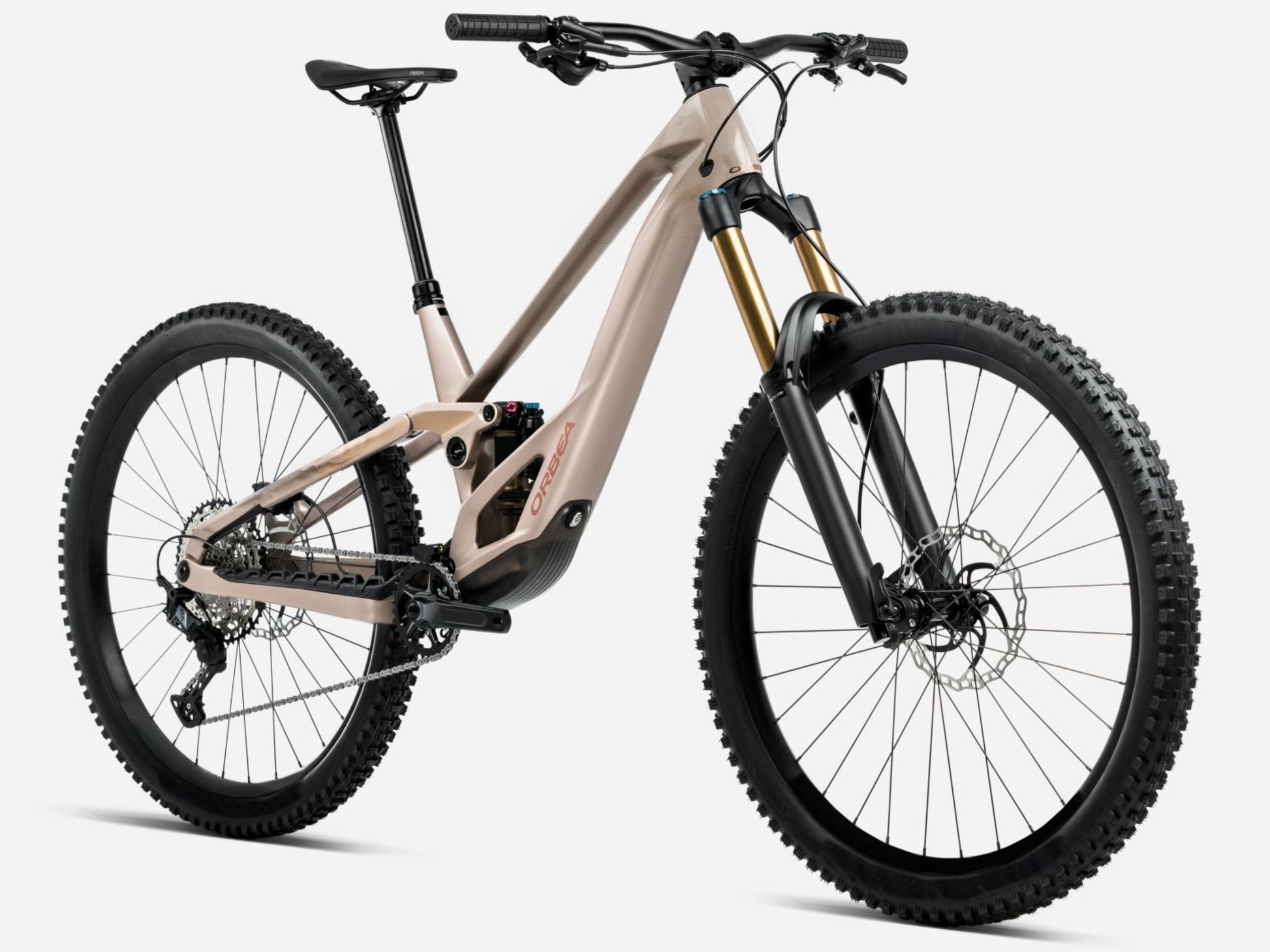 Orbea Rallon E-LTD Full Suspension mountain bike Enduro Nickel matte / nickel chrome gloss Forward facing view