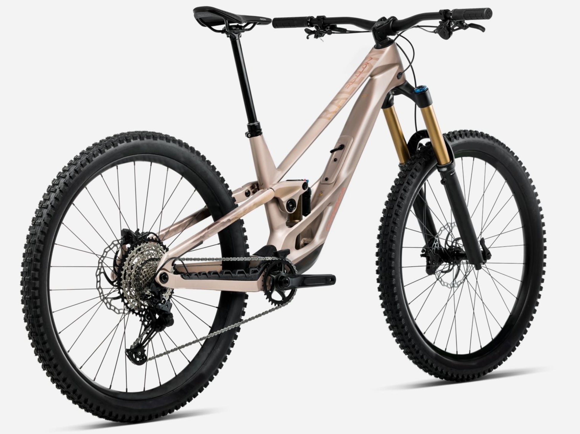 Orbea Rallon E-LTD Full Suspension mountain bike Enduro Nickel matte / nickel chrome gloss Rear facing view