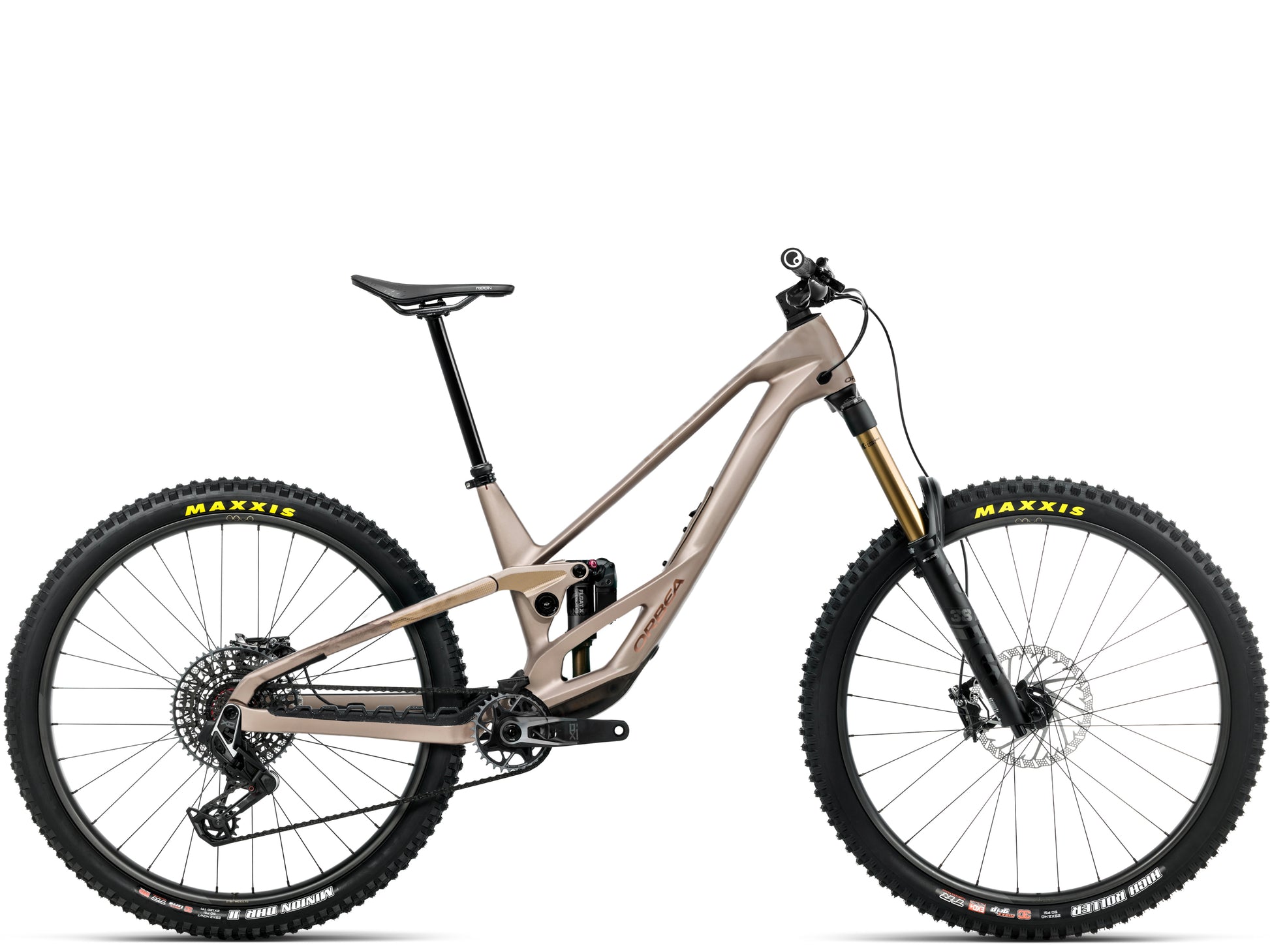 Orbea Rallon E-LTD Full Suspension mountain bike Enduro Nickel matte / nickel chrome gloss Side profile