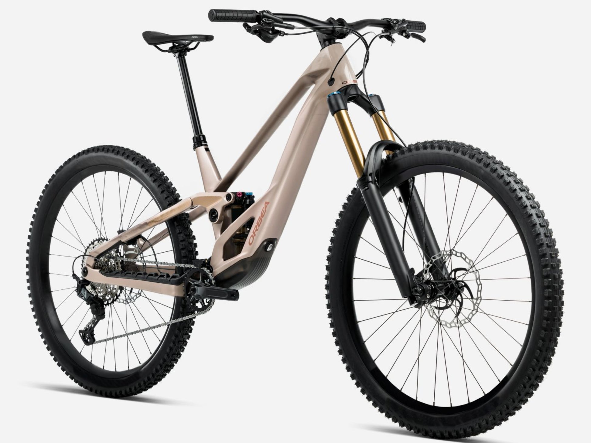 Orbea Rallon E-Team Full Suspension mountain bike Enduro Nickel matte / nickel chrome gloss Forward facing view