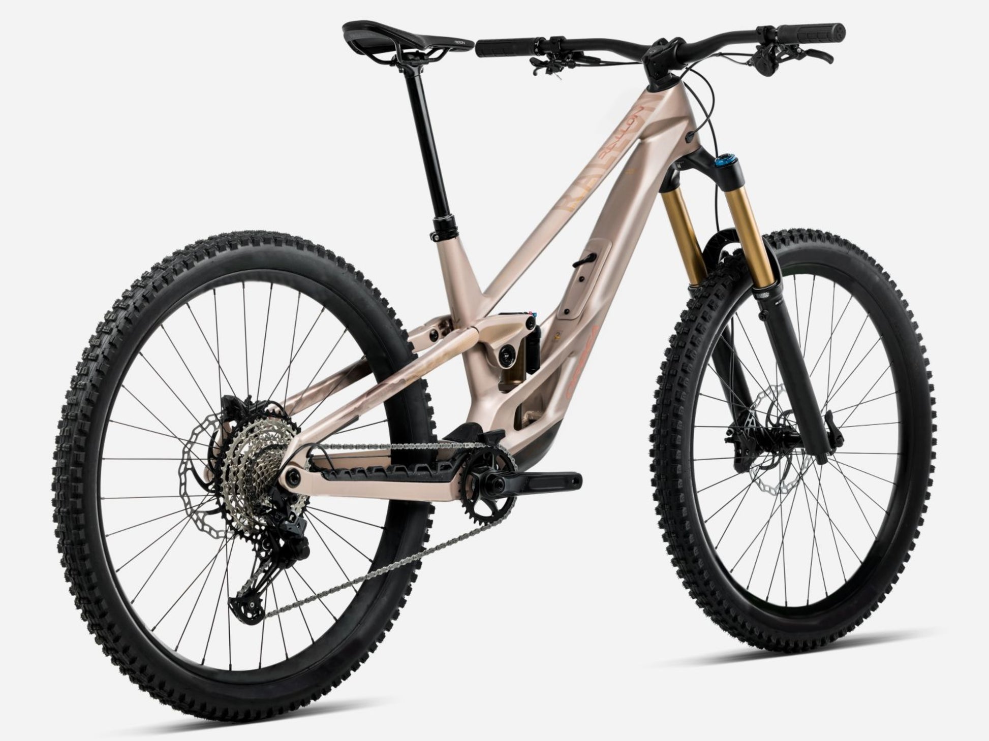 Orbea Rallon E-Team Full Suspension mountain bike Enduro Nickel matte / nickel chrome gloss Rear facing view