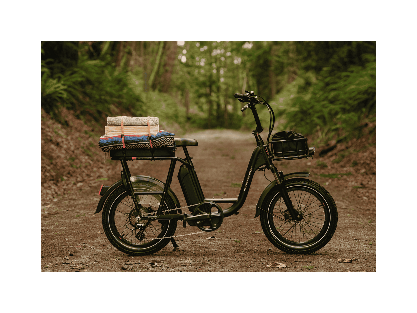 Rad Power RadRunner™ Plus Electric Cargo Utility Bike