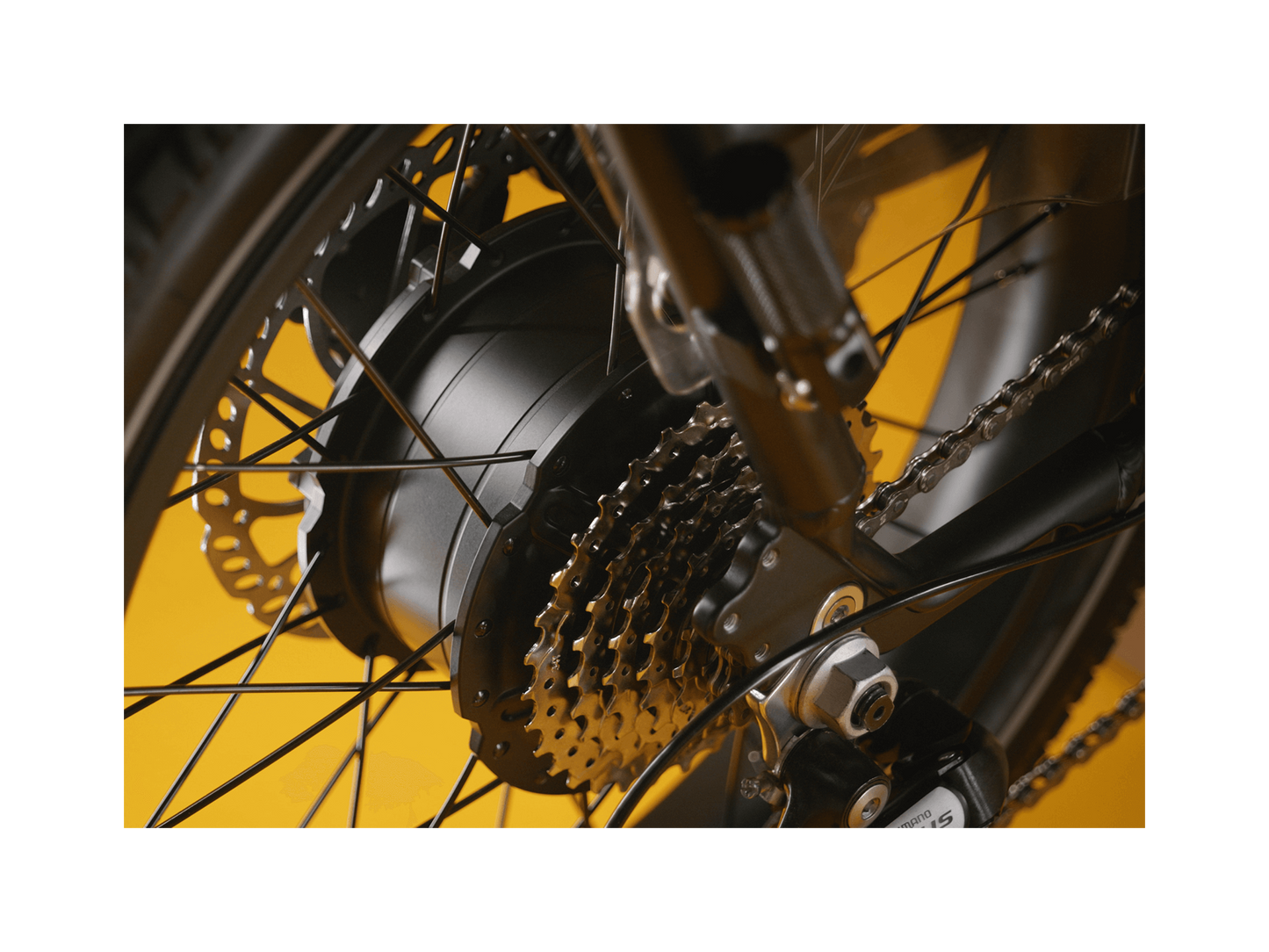 Rad Power RadRunner™ Max Electric Cargo Utility Bike
