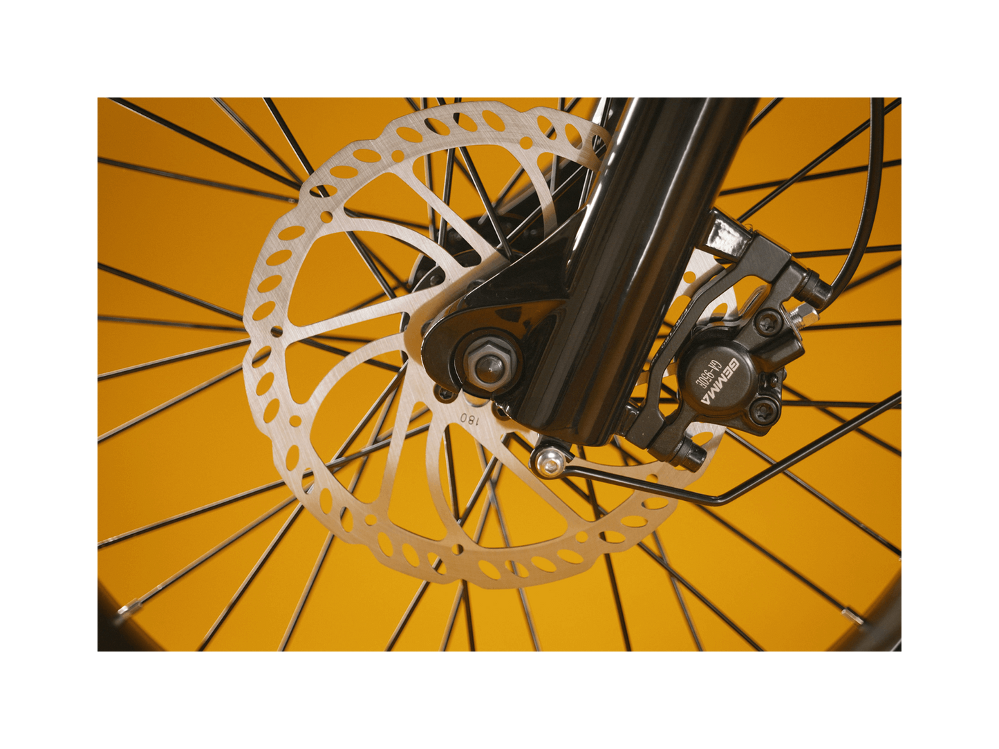 Rad Power RadRunner™ Plus Electric Cargo Utility Bike