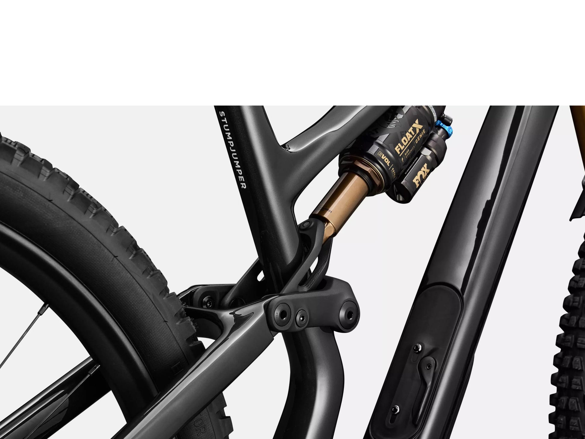 Specialized Stumpjumper 15 EVO Pro Full Suspension Mountain bike Gloss carbon / white Fox Genie rear shock closeup