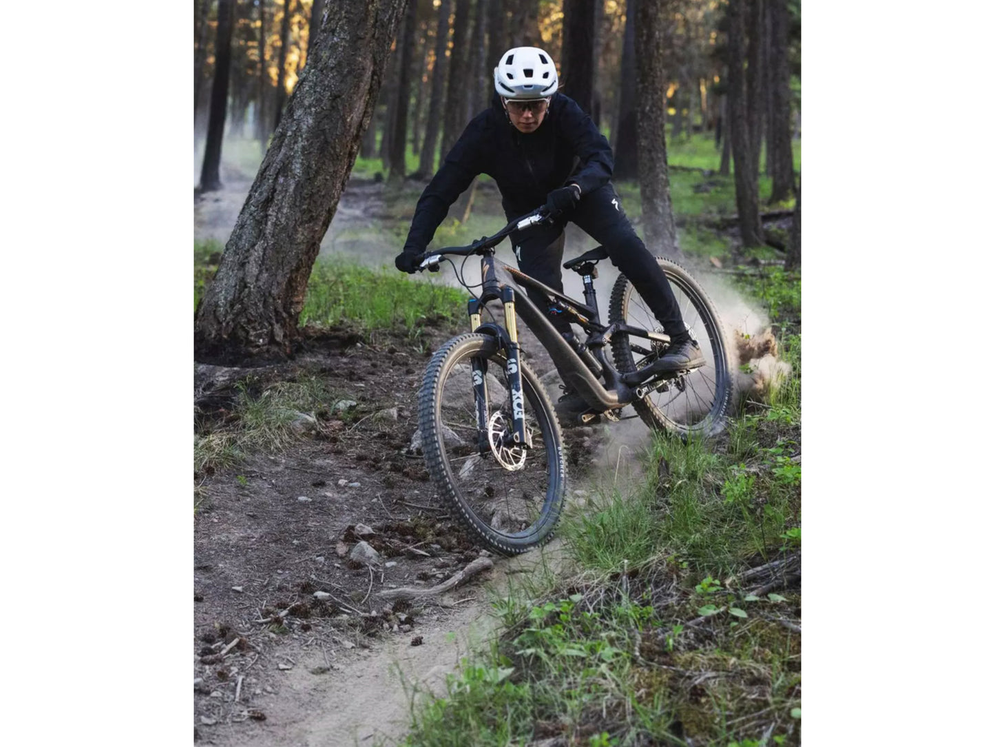 Specialized Stumpjumper 15 Full Suspension Mountain bike. Rider on mountain single track