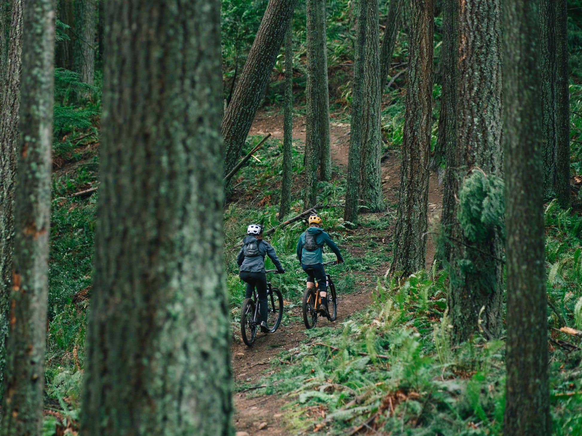 Transition Regulator SX Carbon XT Full suspension eMTB Riders on a forest trail