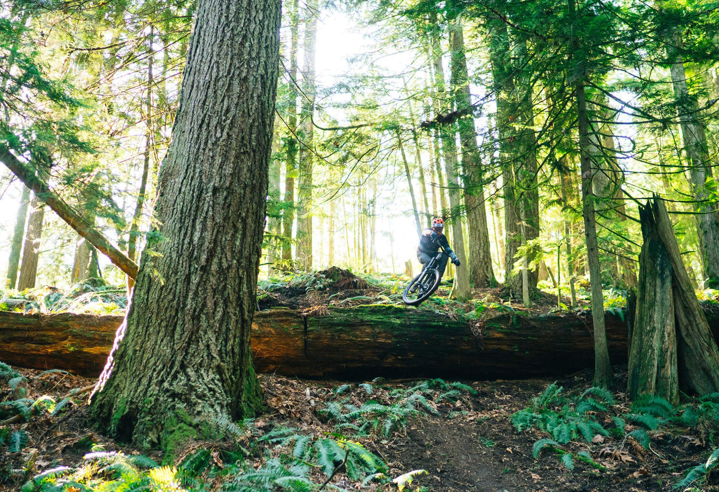 Transition Repeater PT Carbon guy in forest jumping over tree