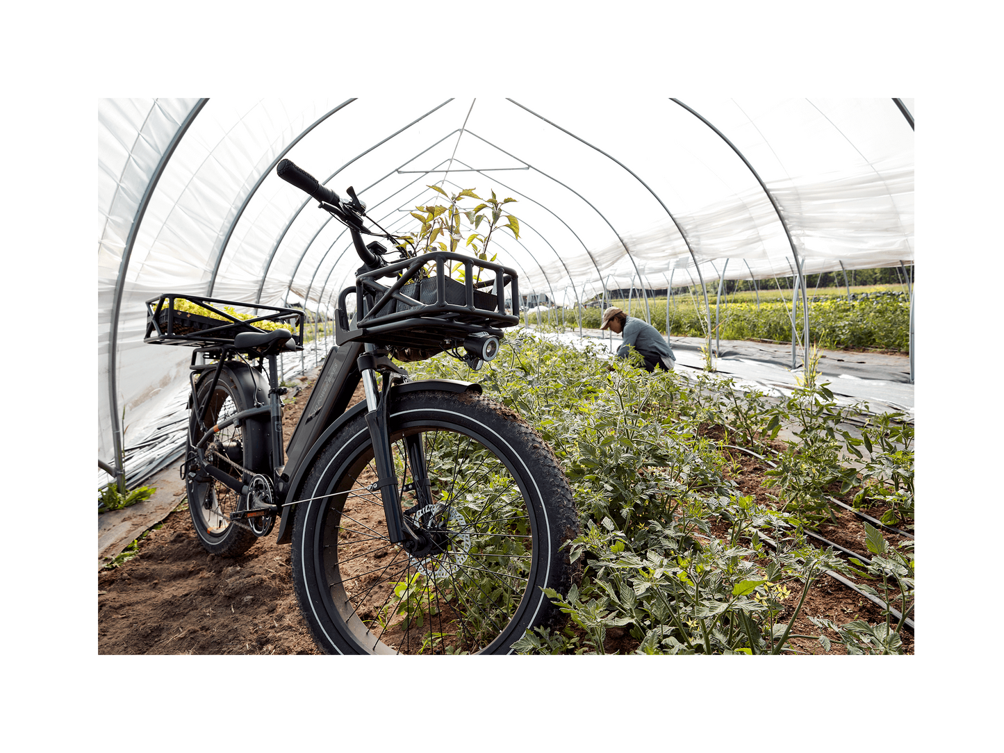 Rad Power RadRover™ 6 Plus Electric Fat Tire Bike
