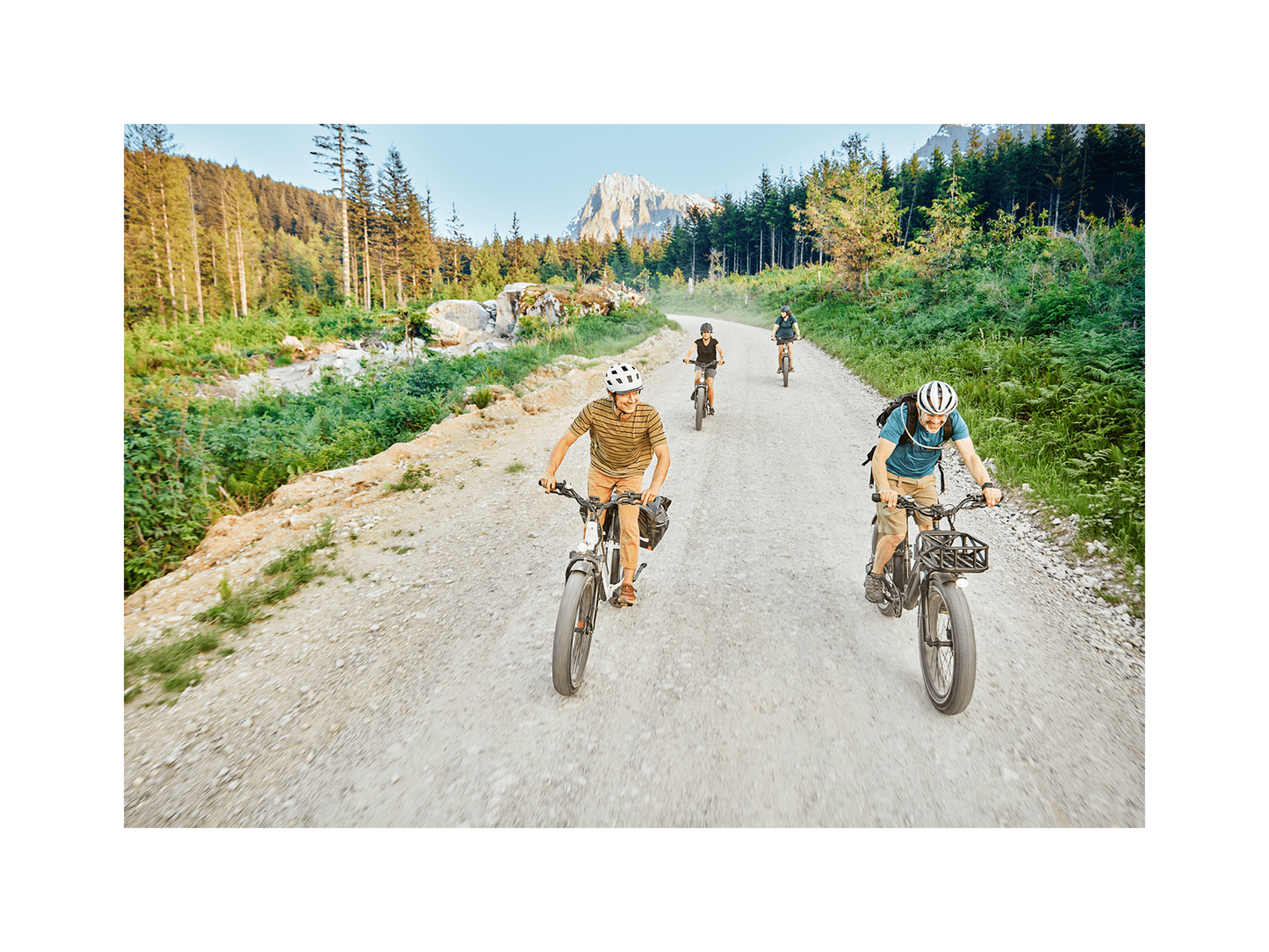 Rad Power RadRover™ 6 Plus Electric Fat Tire Bike