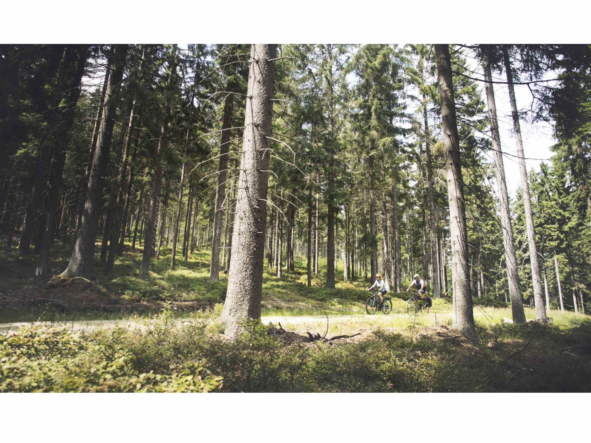 Cube Nuride Hybrid Performance 500 Allroad Easy Entry eMTB hardtail two people riding on forest trail