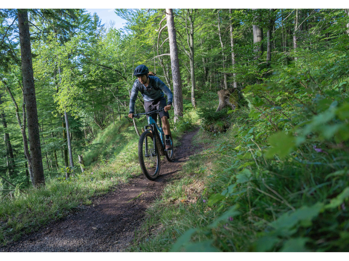 Cube Reaction Hybrid Race 625 eMTB hardtail man riding downhill on forest singletrack trail