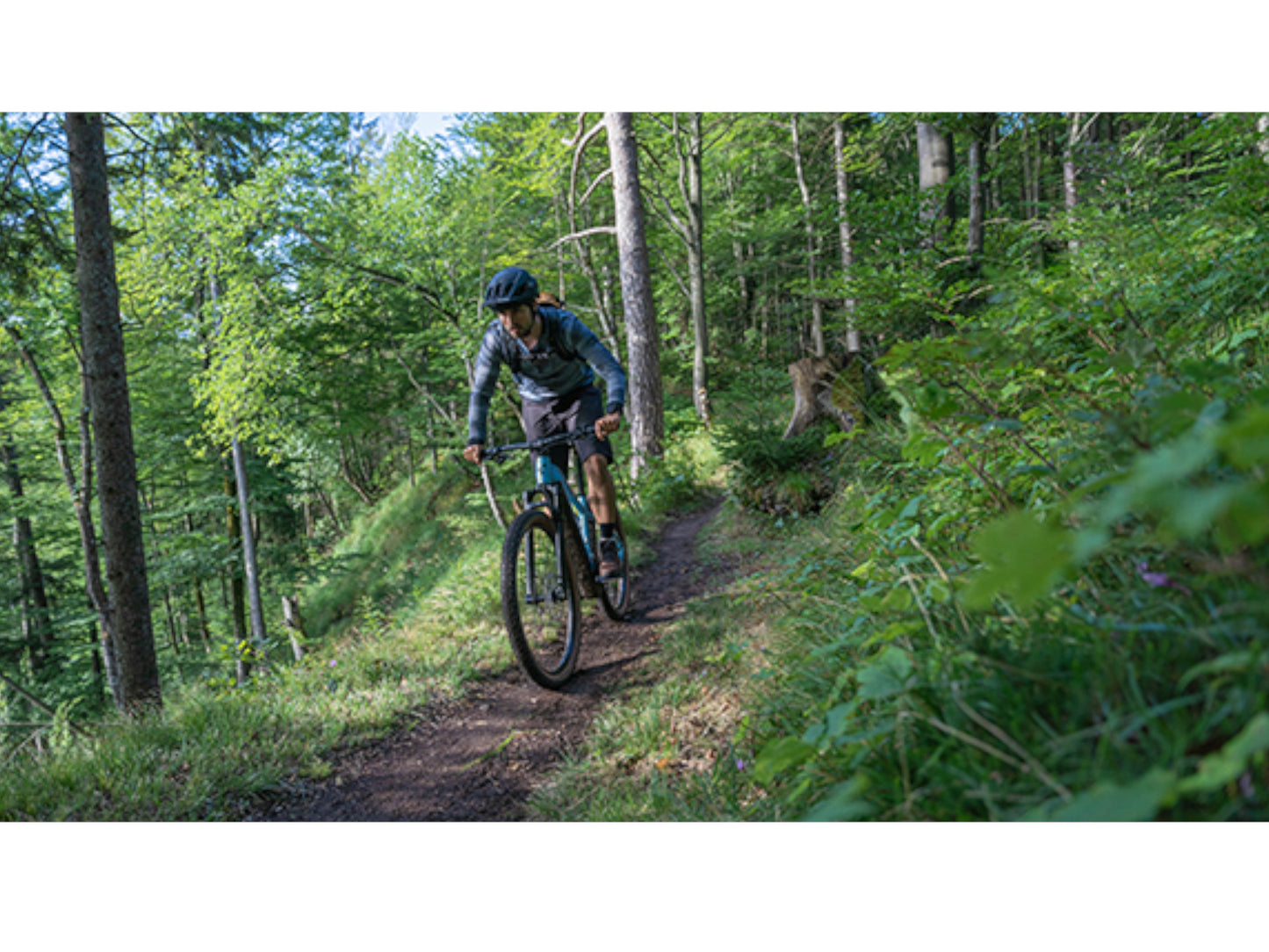 Cube Reaction Hybrid SLT 750 eMTB hardtail man riding down single track forest trail