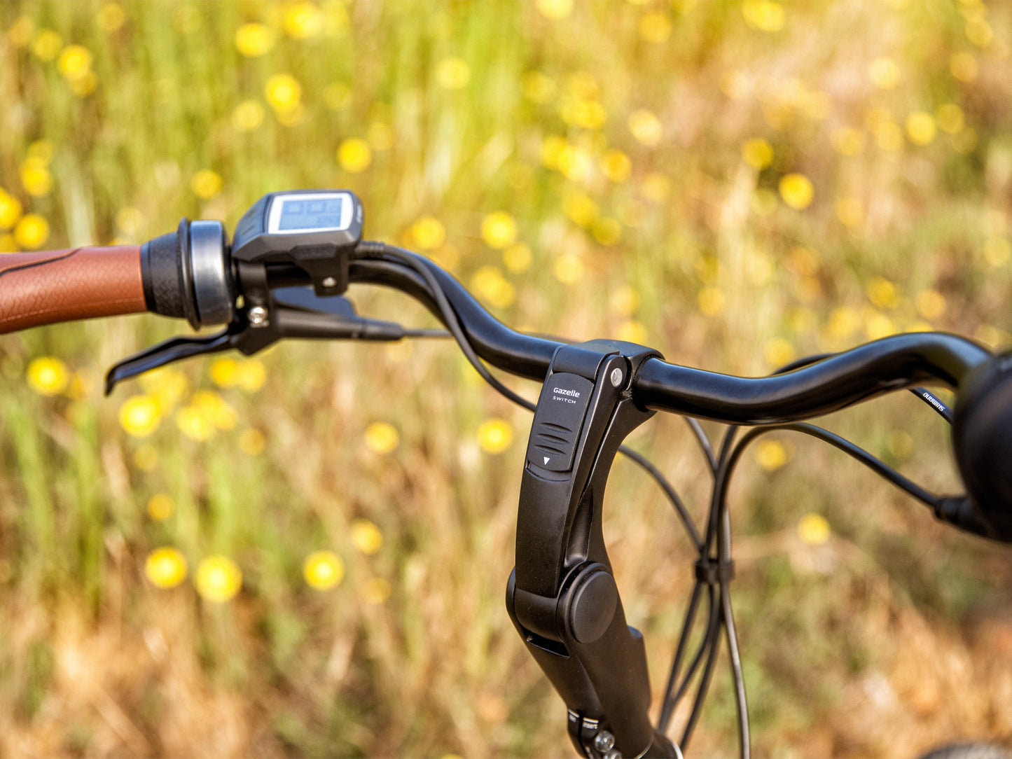 Gazelle Arroyo C7 emtb saturn blue close up cockpit display