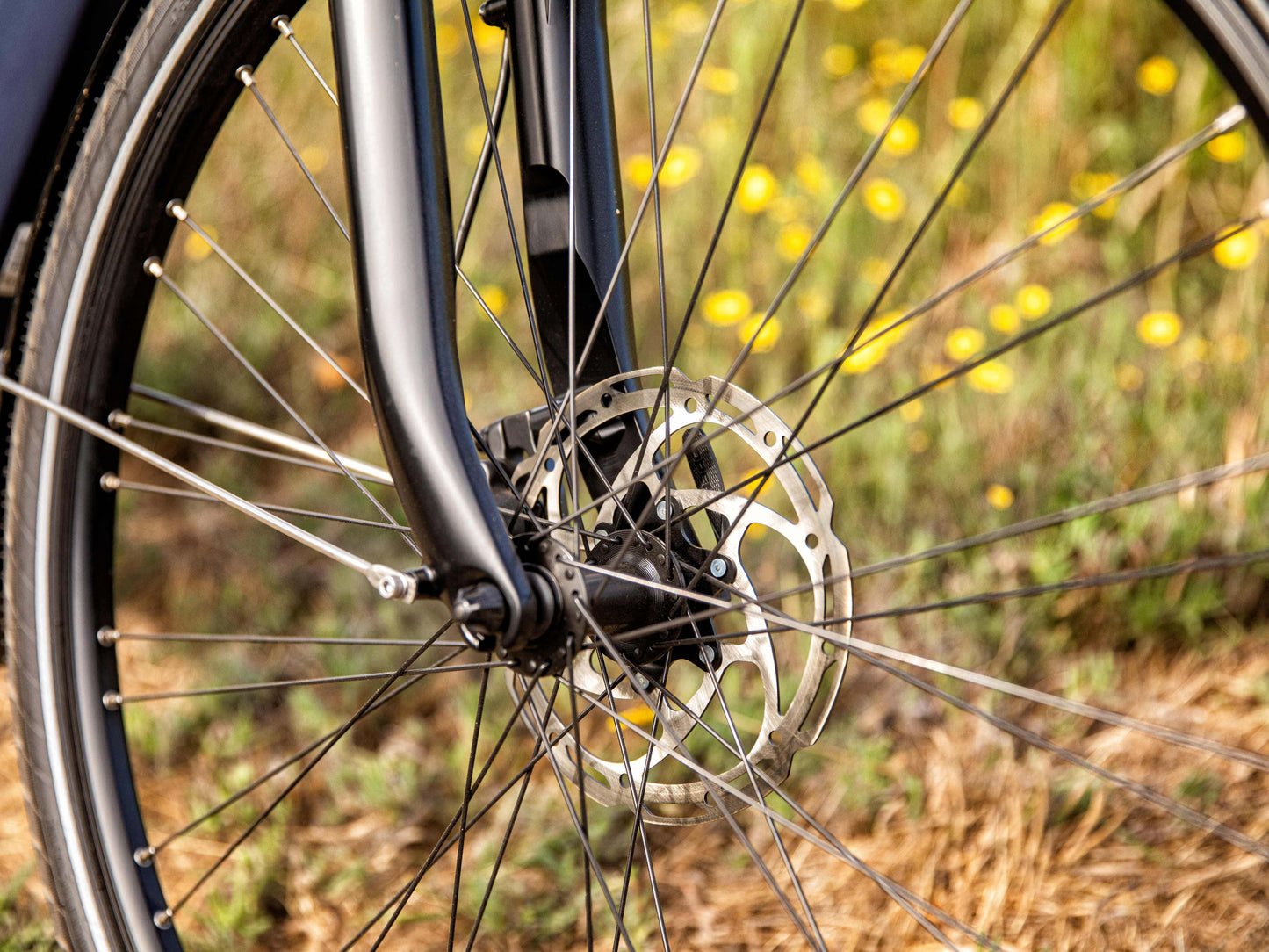 Gazelle Arroyo C7 emtb dust light close up disc brakes