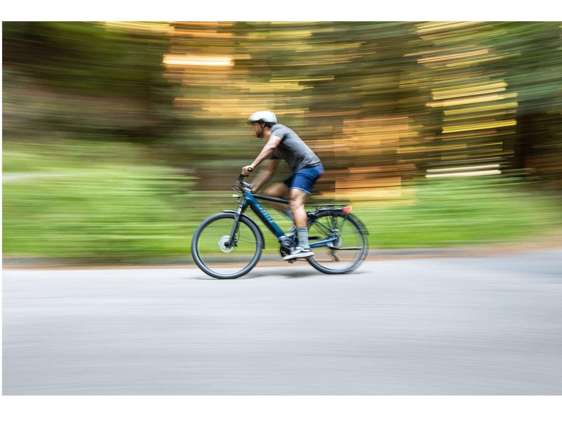 Gazelle Medeo T10+ High Step  mallard blue action photo riding