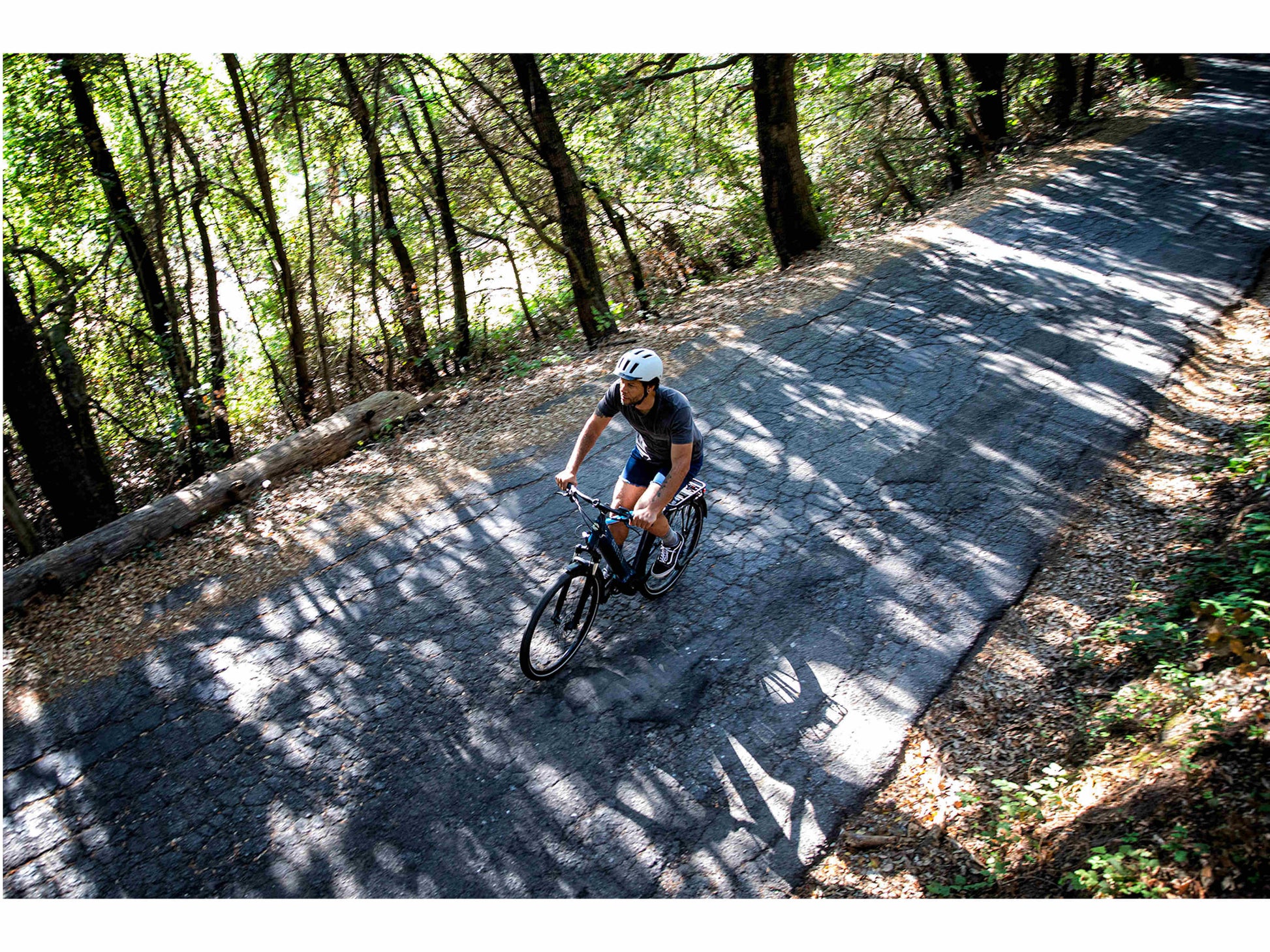 Gazelle Medeo T10+ Mid Step petrol gloss action photo of riding bike path in forest