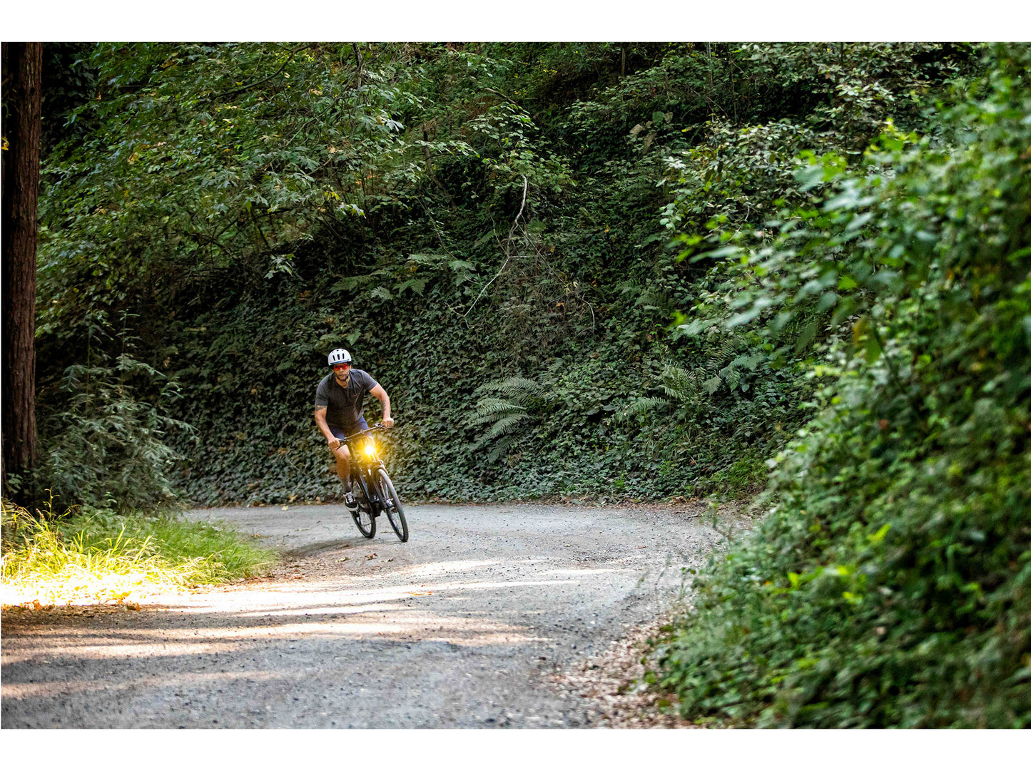 Gazelle Medeo T10+ Mid Step petrol gloss of riding forest road with front light