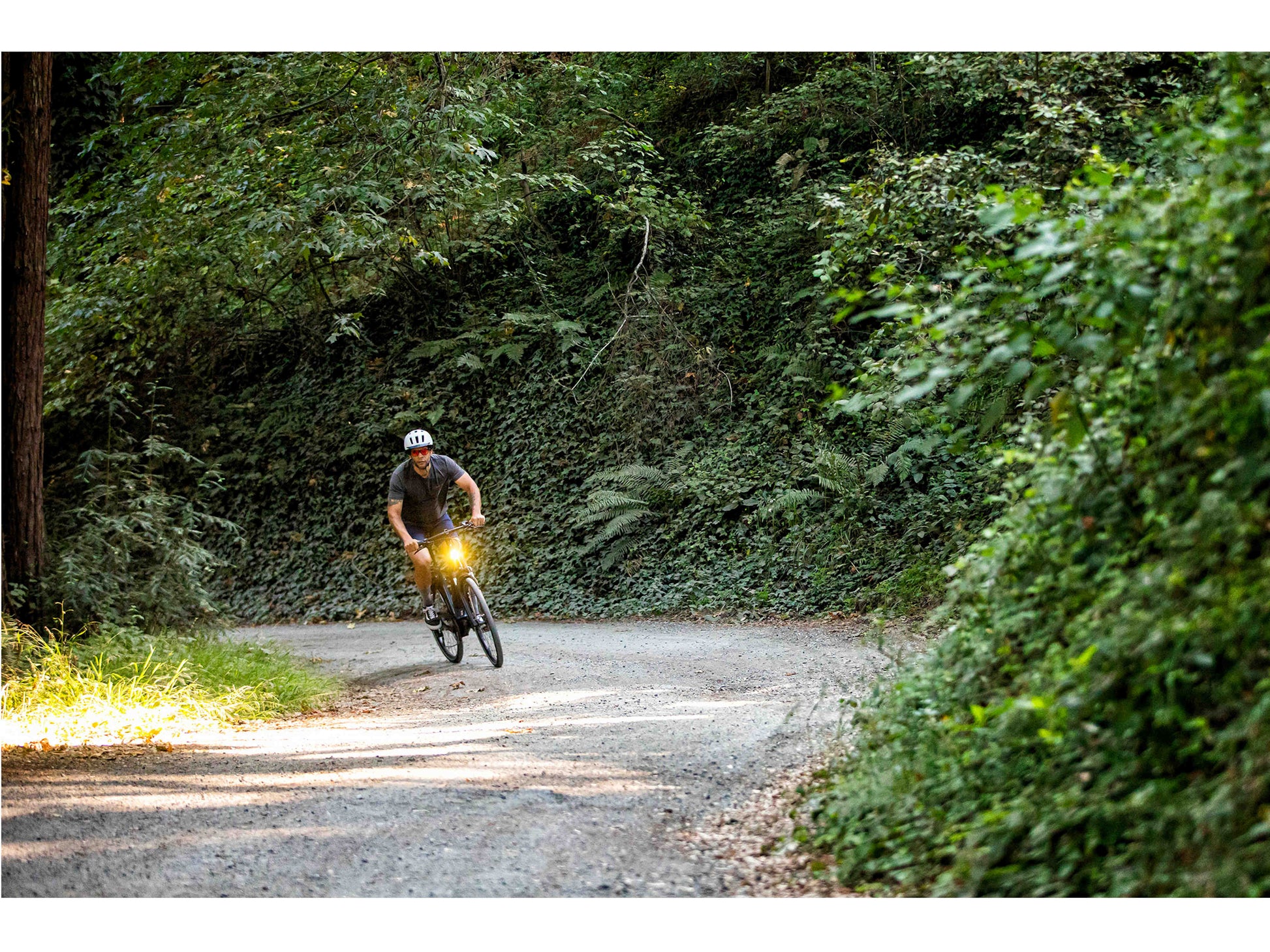 Gazelle Medeo T10+ Mid Step petrol gloss of riding forest road with front light