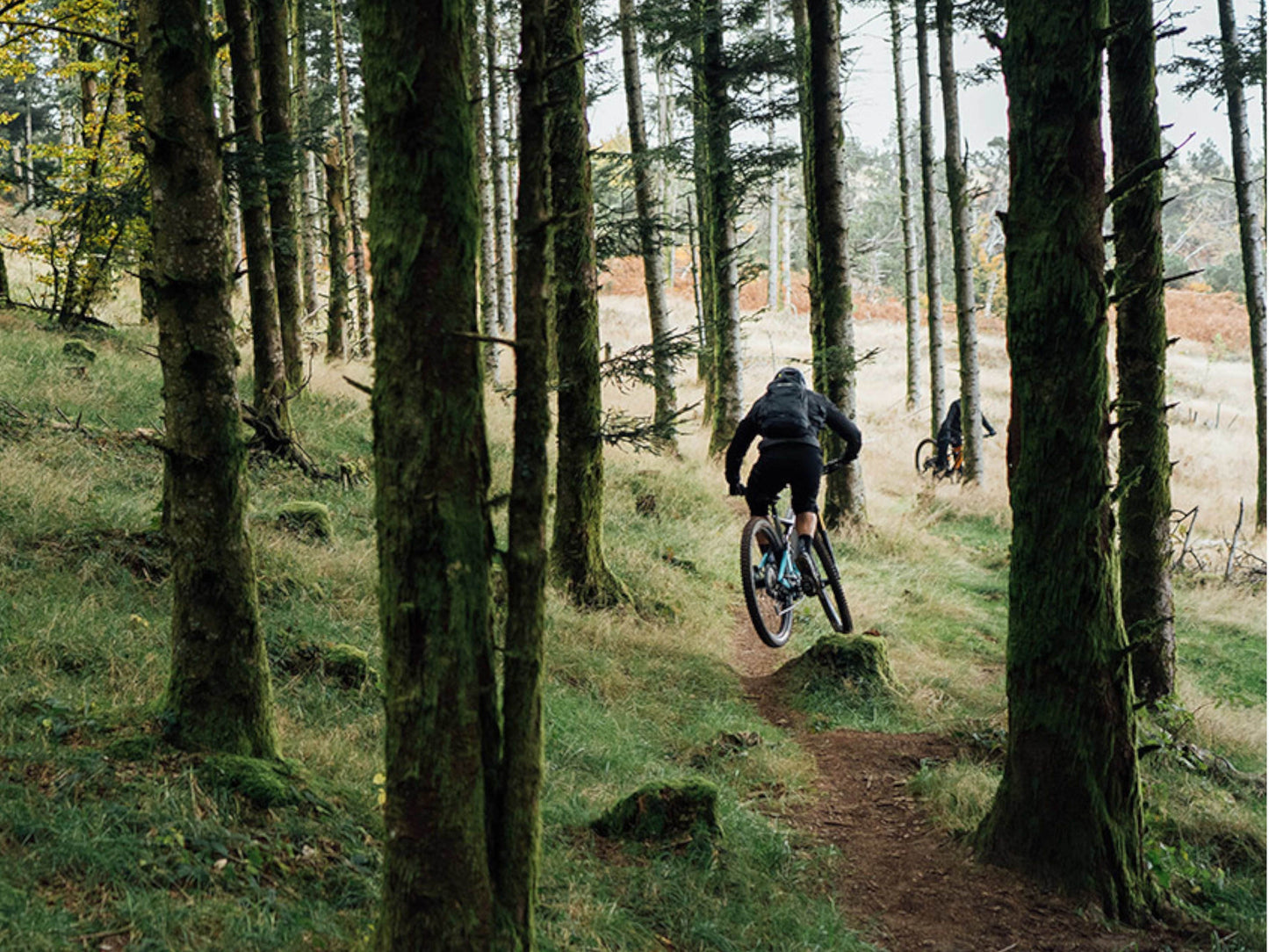 Orbea Rise Hydro H10 eMTB grey blue riding through trees rear view