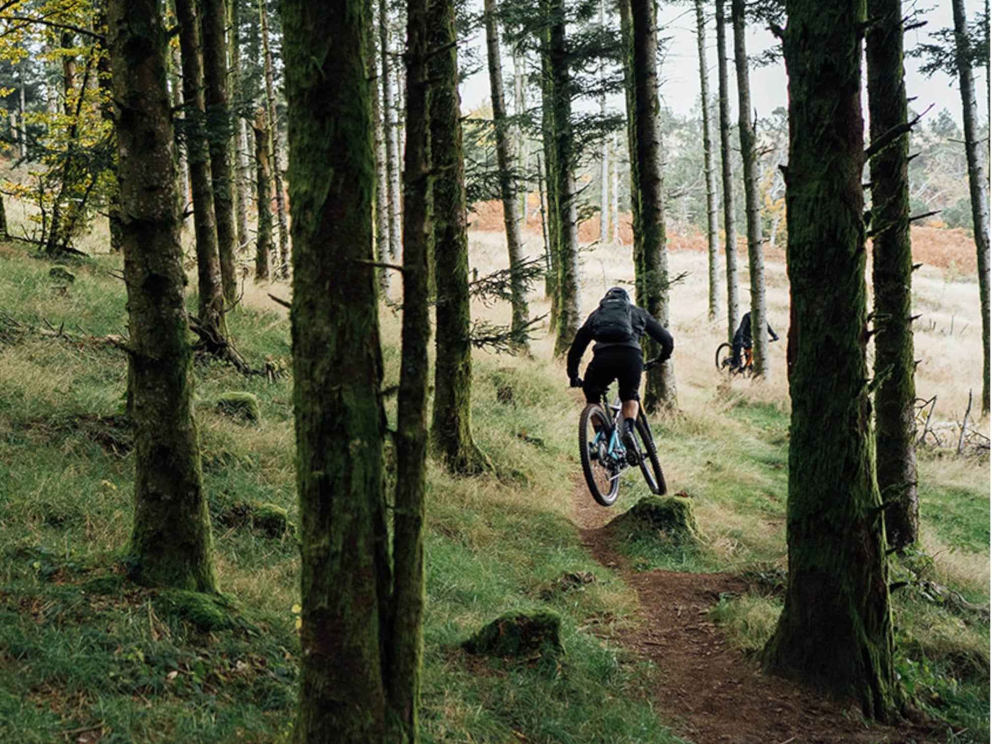 electric mountain bike Orbea Rise SL H30 action shot in the trees