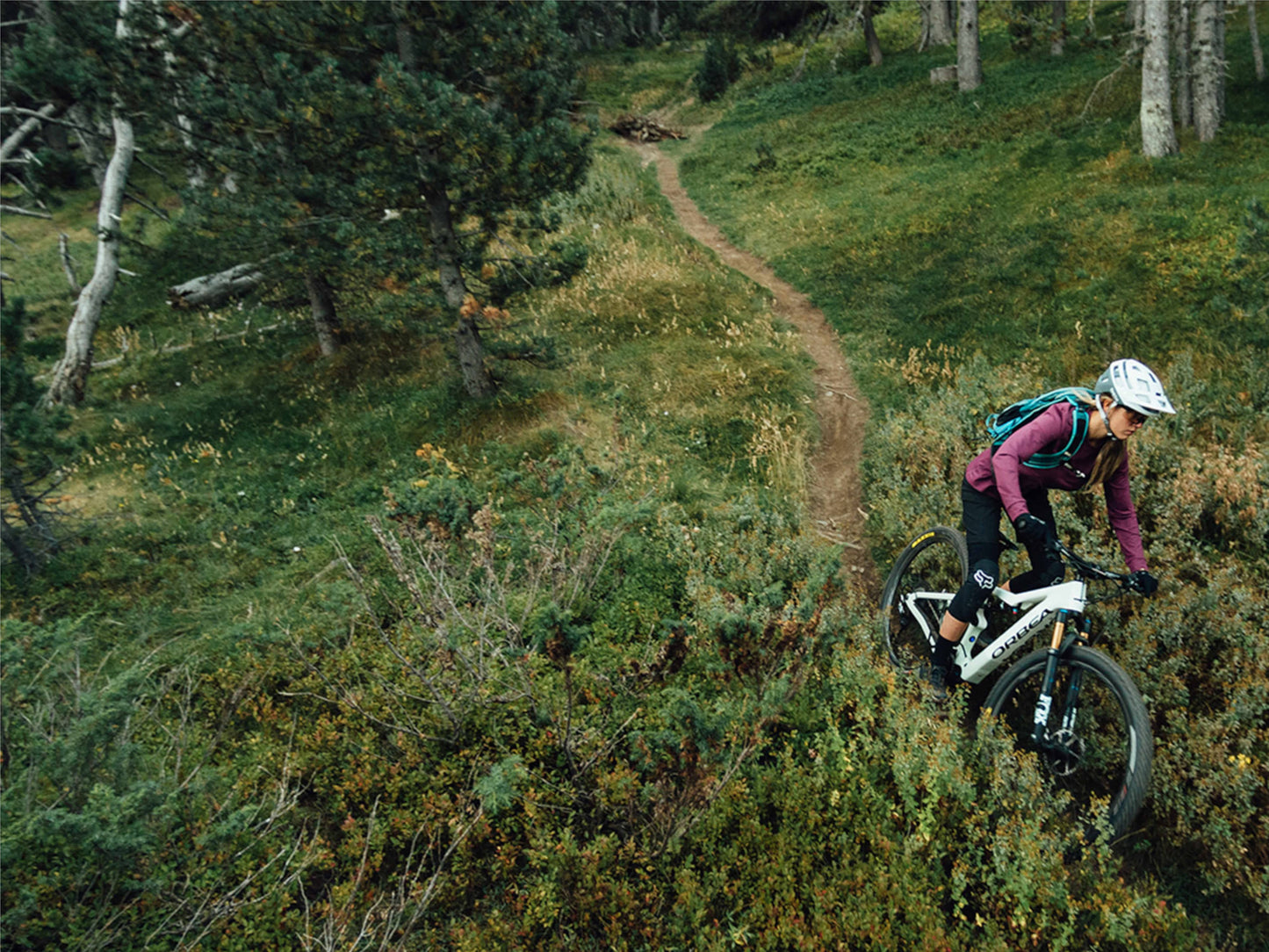 Orbea Rise SL H30 e-mountain bike action shot downhill