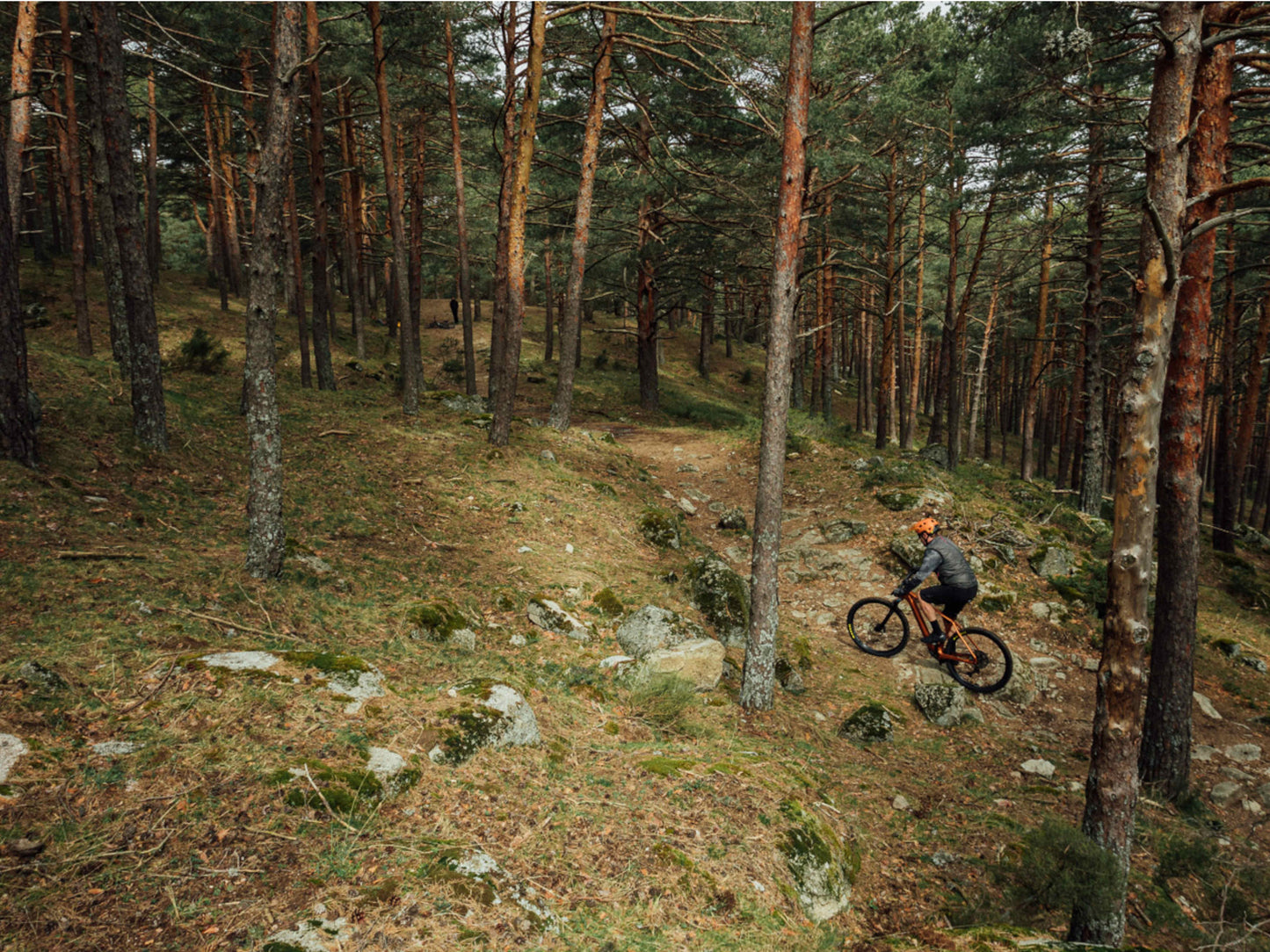 Orbea Urrun 30 hardtail e mtb riding cross country forest trail