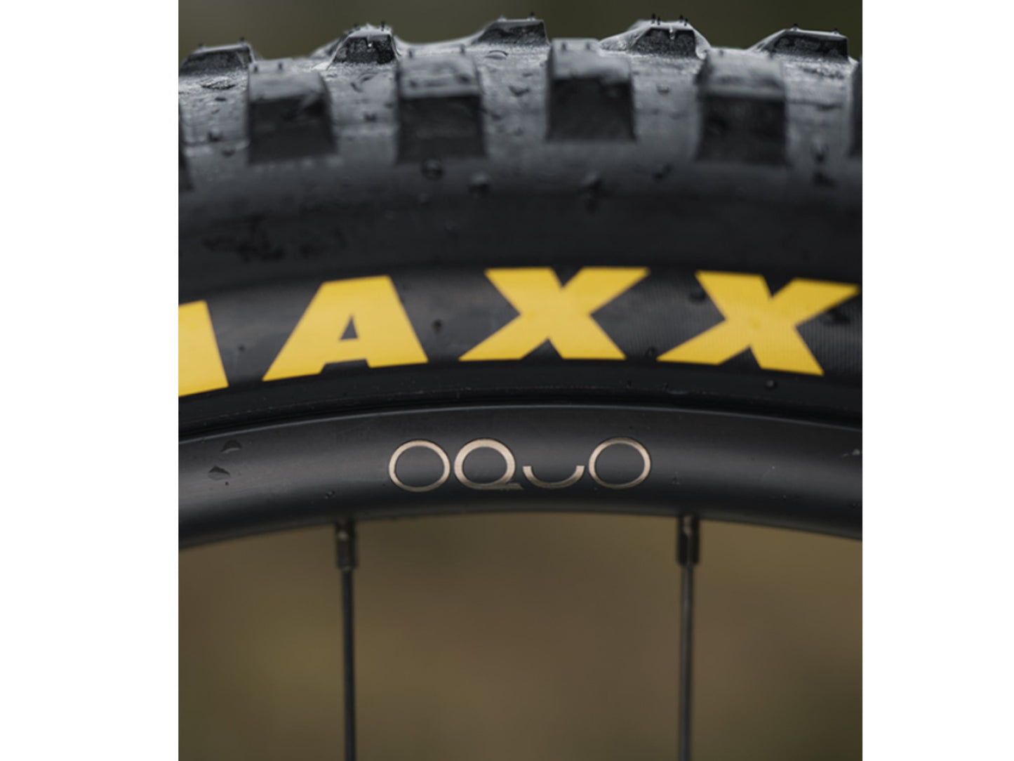 Orbea Wild H20 eMTB full suspension close up Maxxis tire OQUO wheel