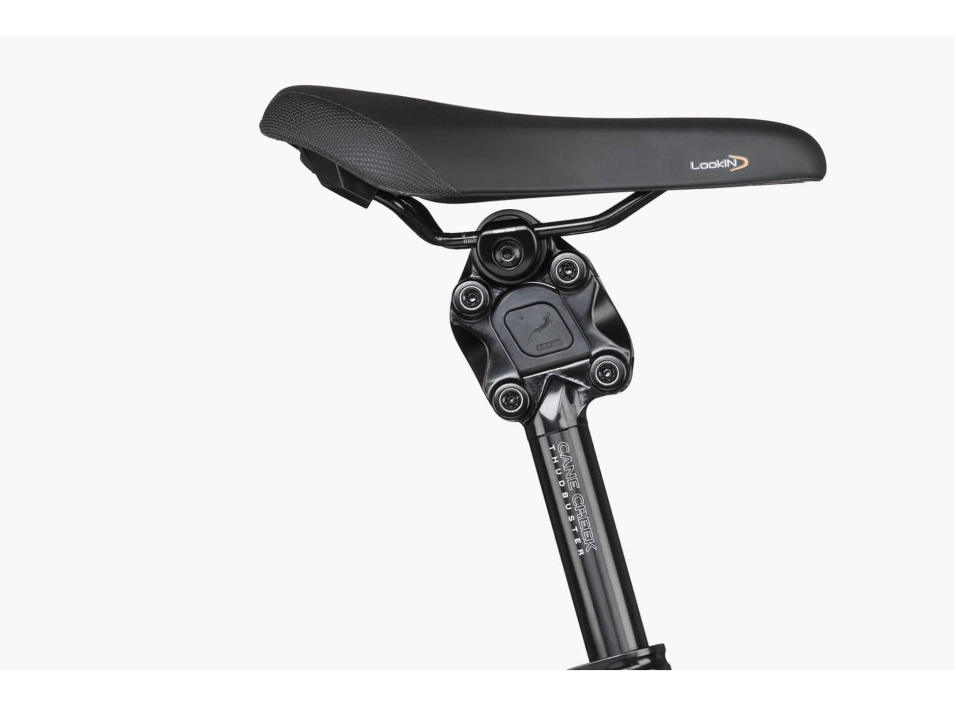 Riese and Muller Charger3 GT Vario HS emtb hardtail close up suspension seatpost