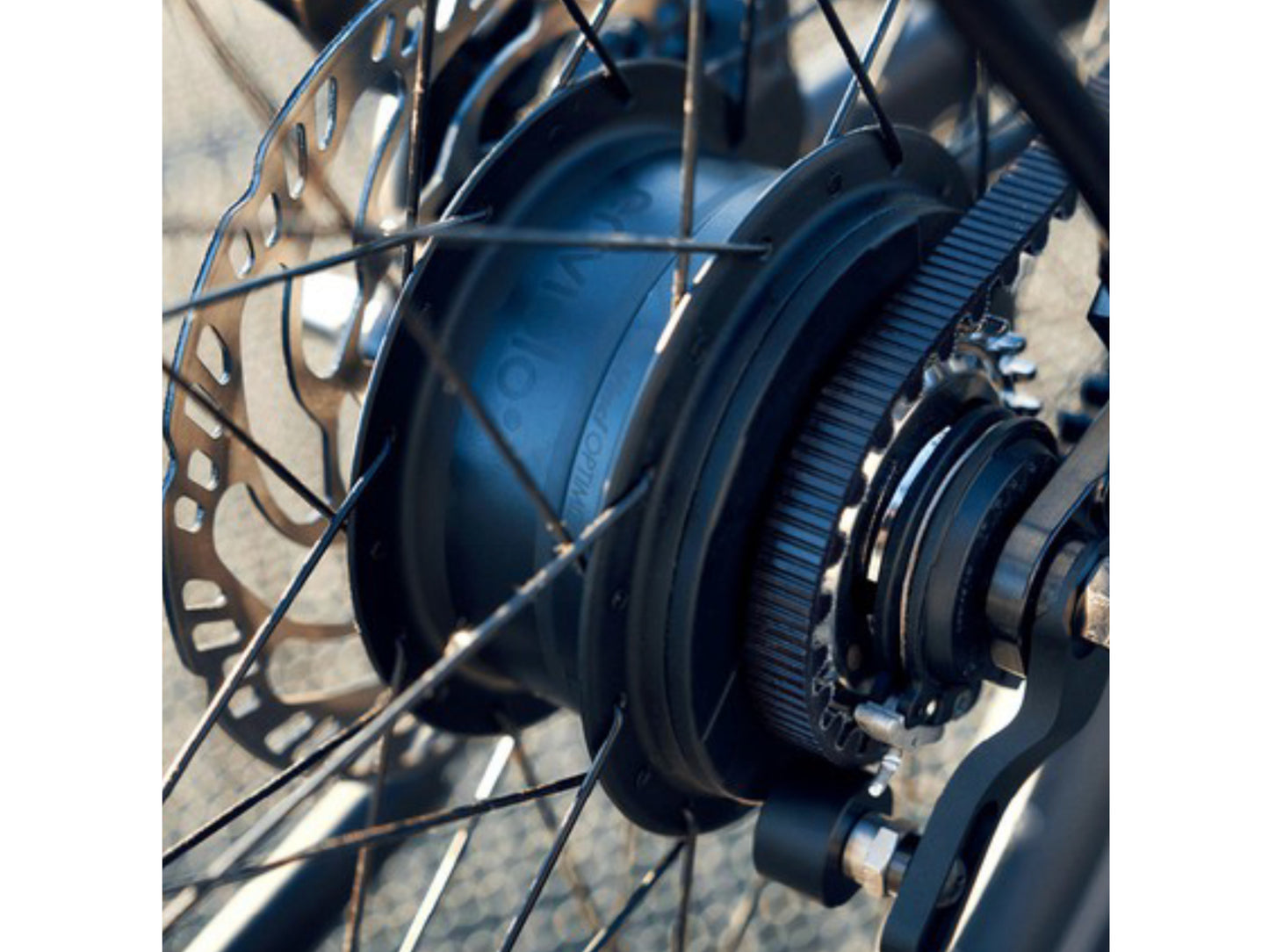 Riese and Muller Delite GT Rohloff eMTB full suspension close up chain Novatec Boost hub