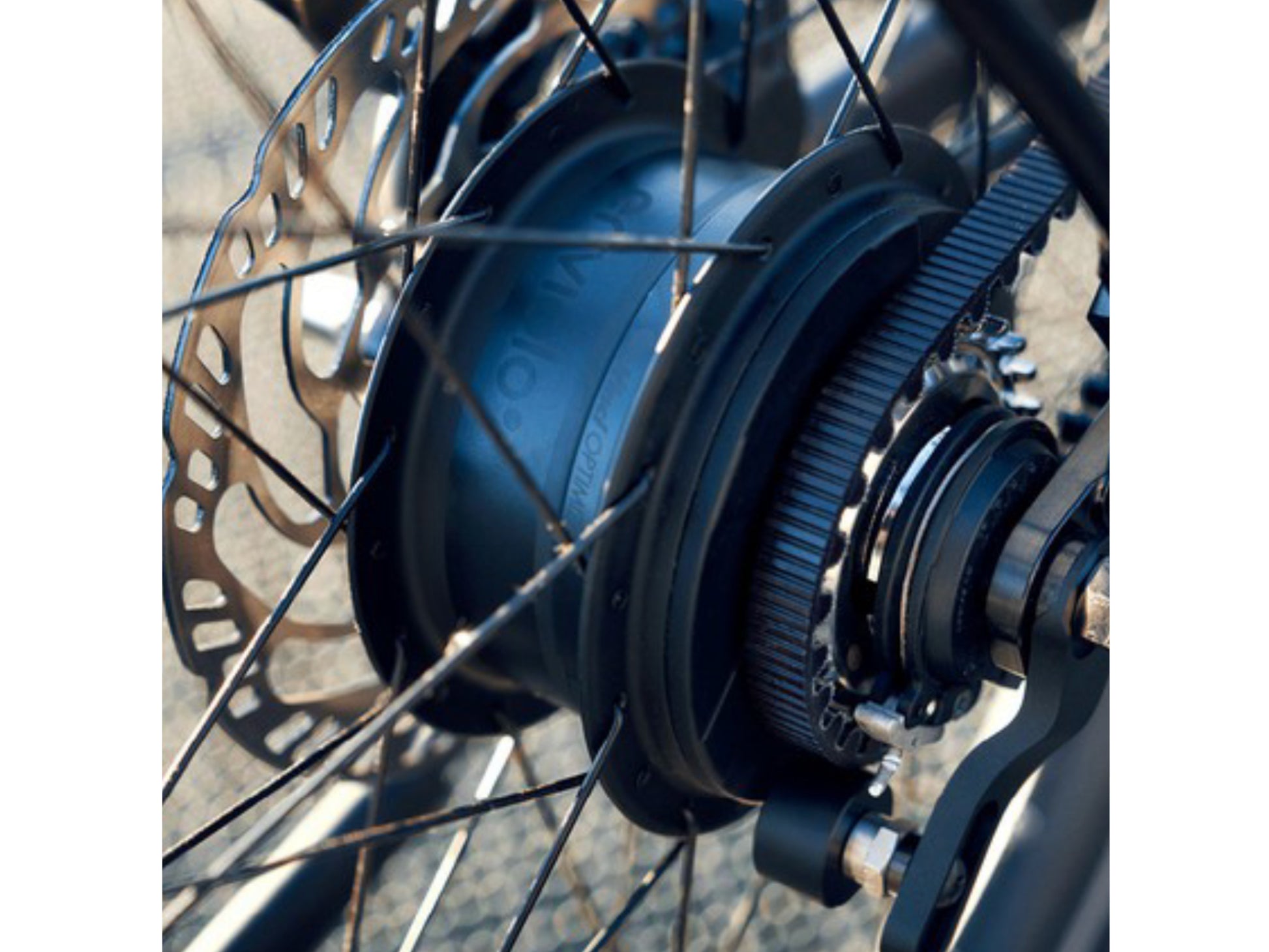 Riese and Muller Delite GT Rohloff eMTB full suspension close up chain Novatec Boost hub