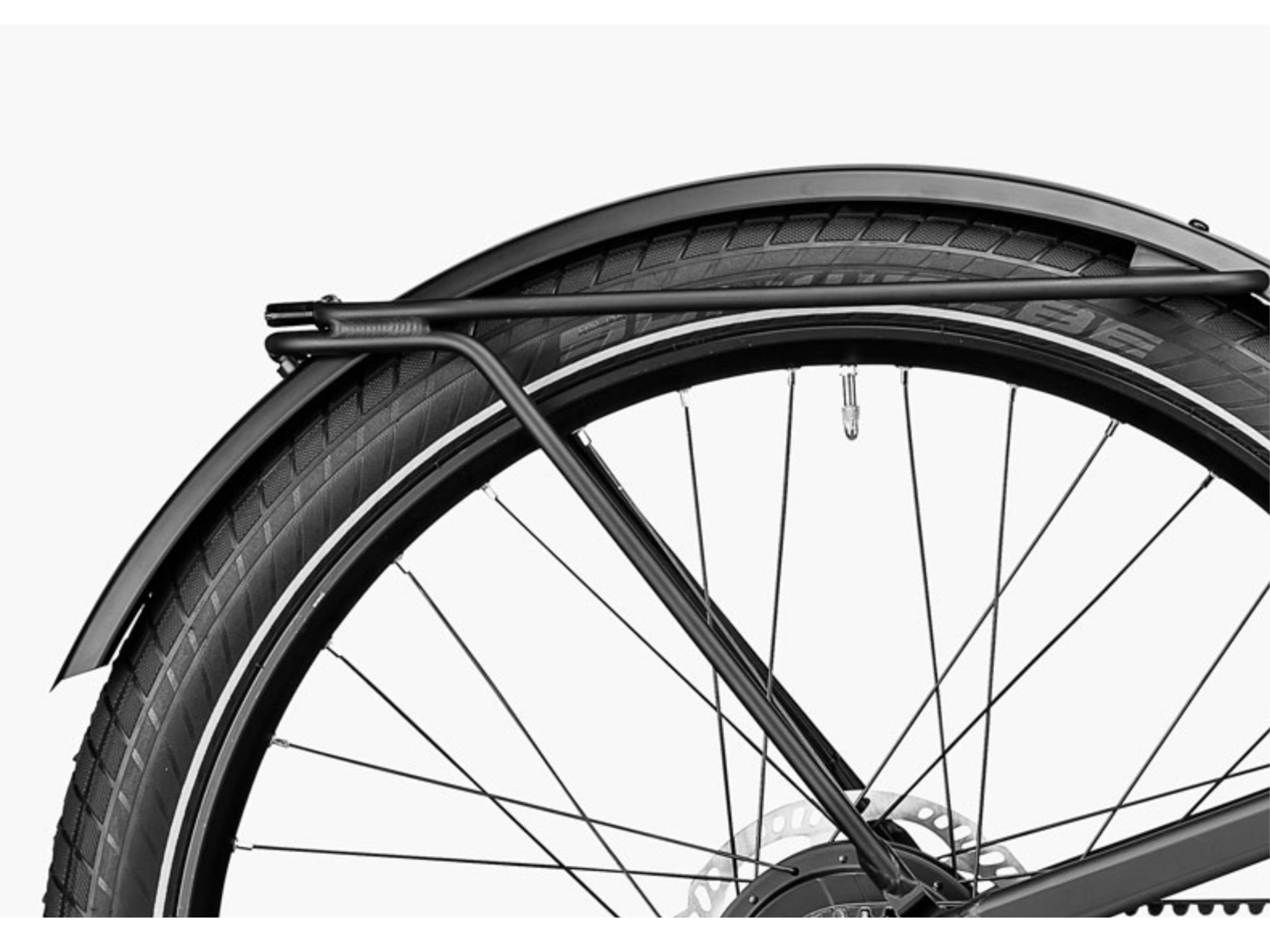 Riese and Muller Delite GT Rohloff eMTB full suspension close up pannier tire fender